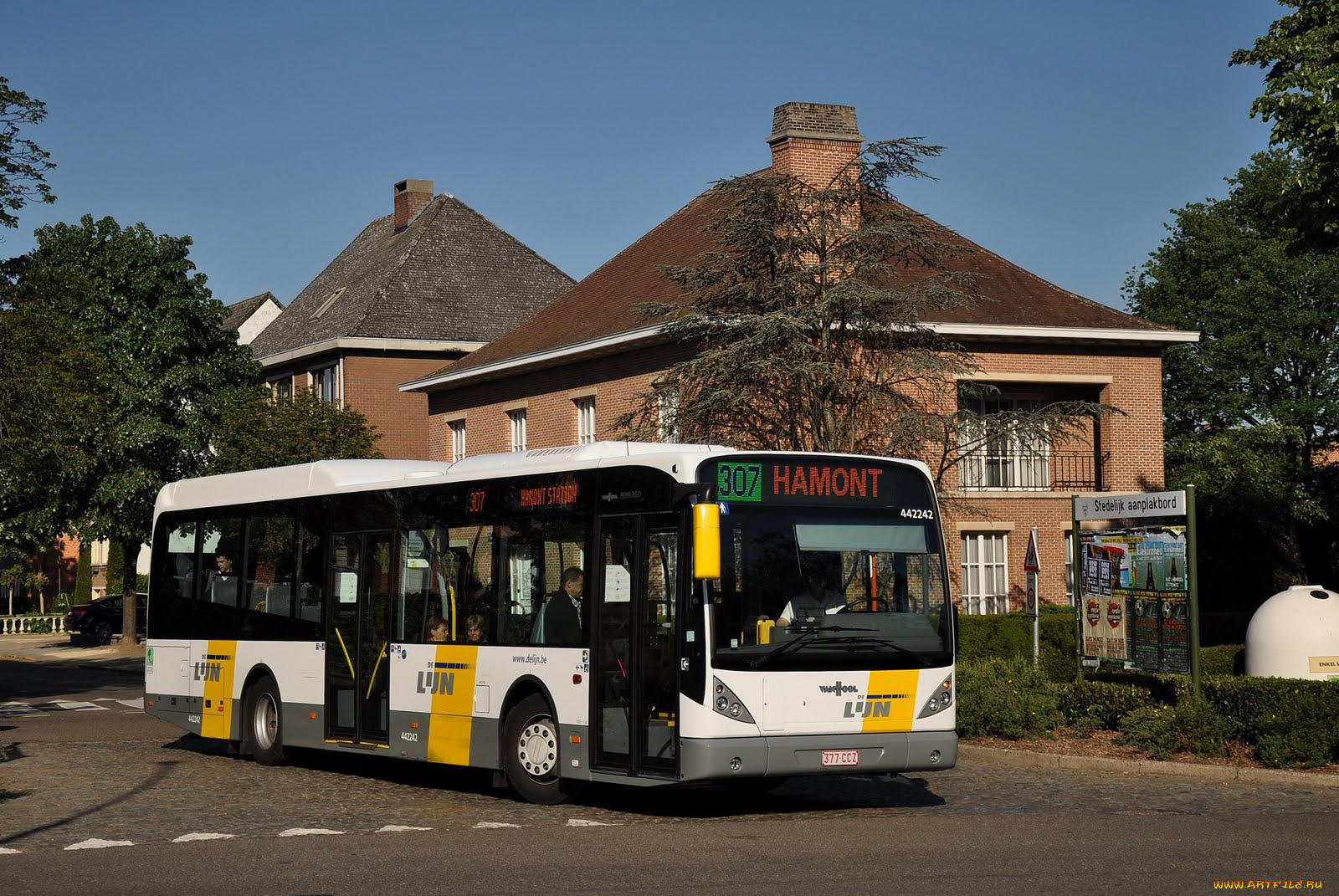 автомобили, автобусы, дорога, автобус