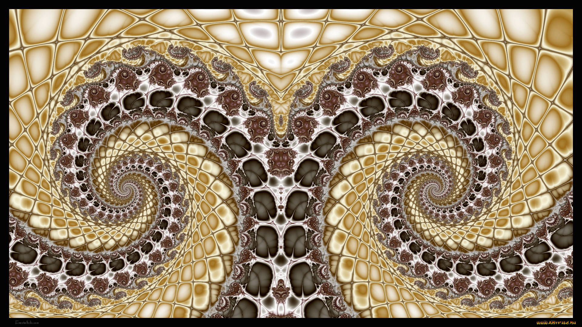 3д, графика, fractal, , фракталы, фон, узор, цвета