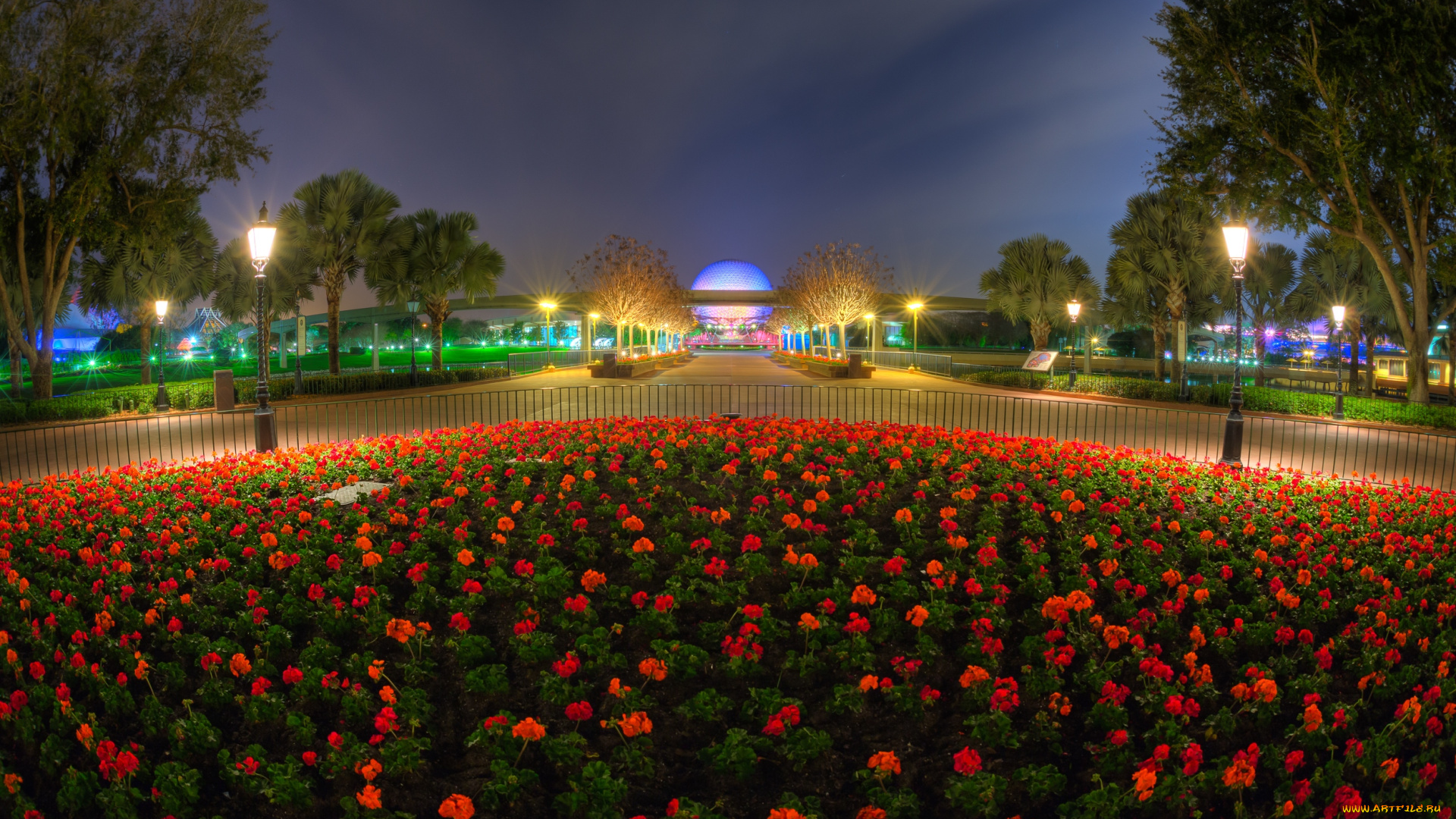 города, диснейленд, флорида, клумба, цветы, парк, ночь
