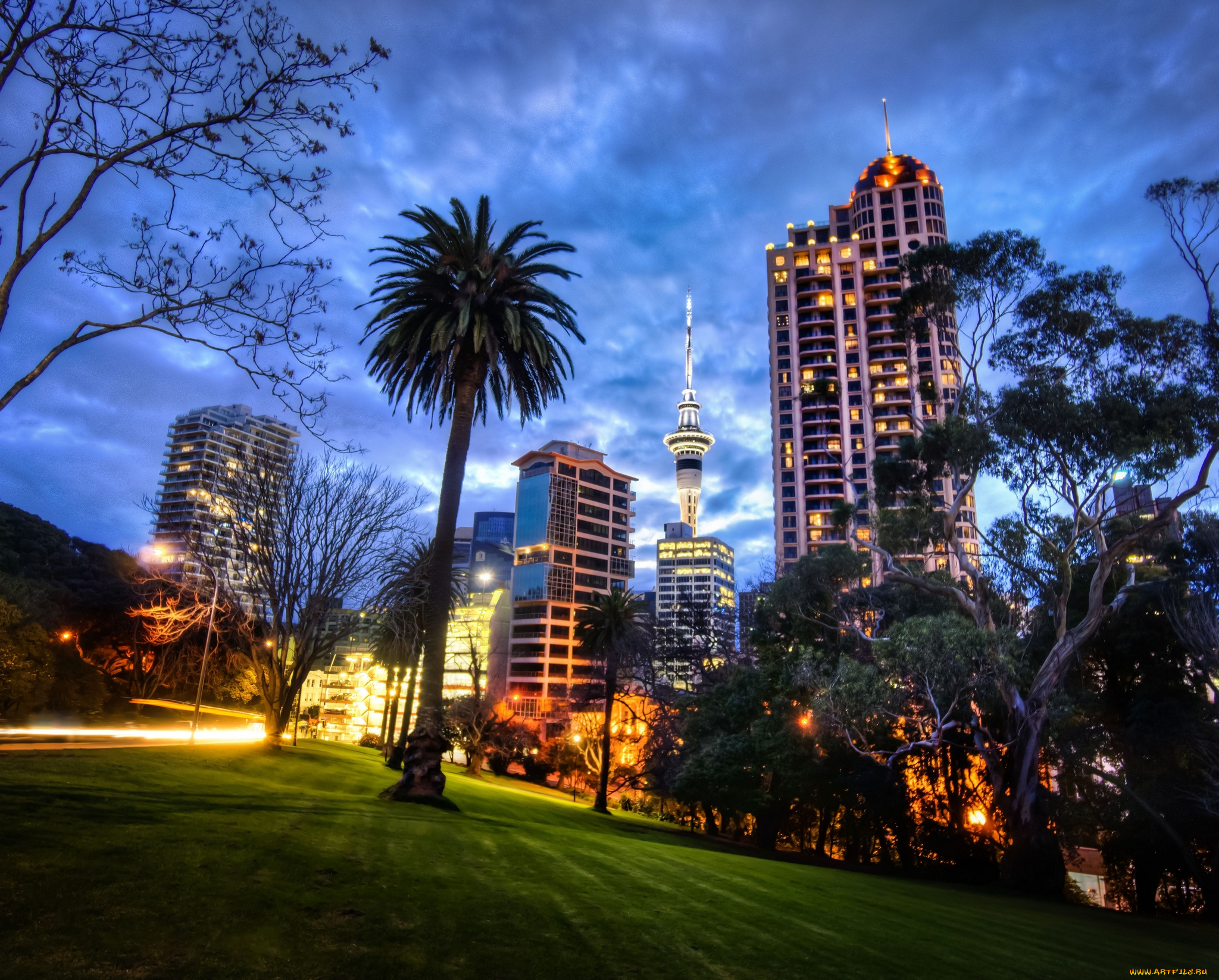 города, -, огни, ночного, города, окленд, новая, зеландия