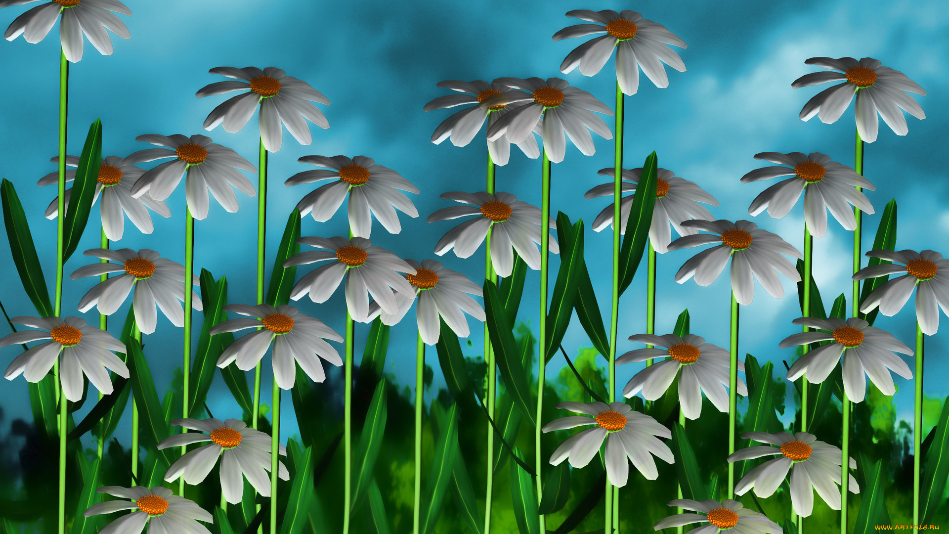 3д, графика, цветы, , flowers, ромашки