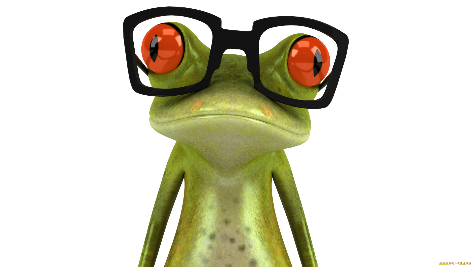 3д, графика, юмор, , humor, лягушка, фон, очки