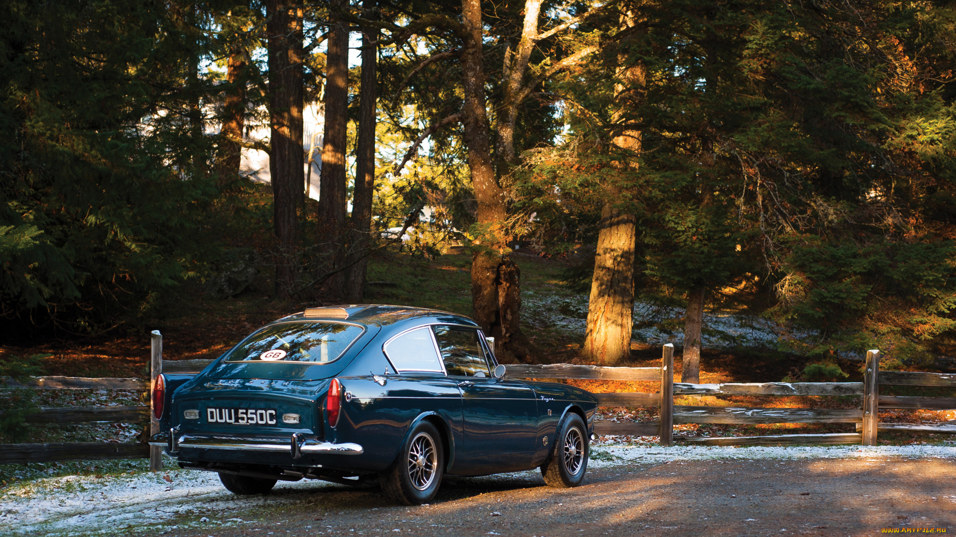 автомобили, sunbeam, tiger