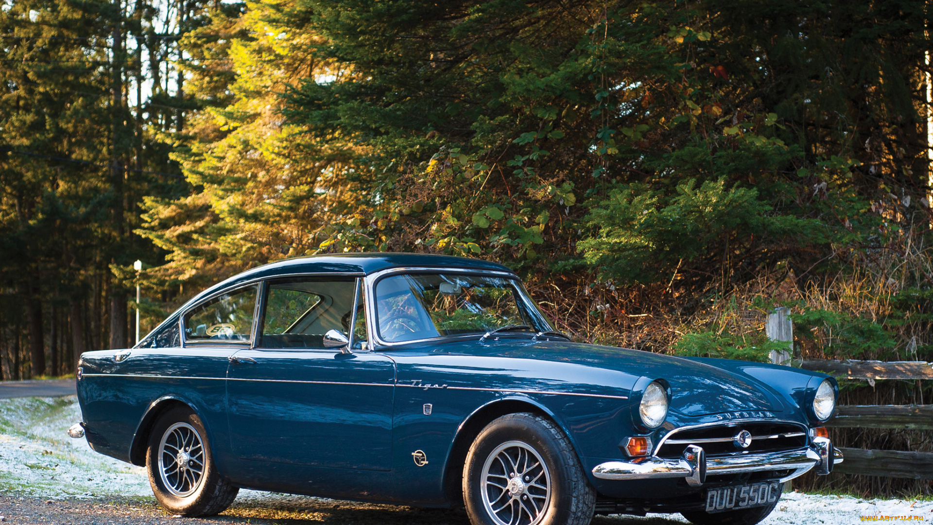 автомобили, sunbeam, tiger