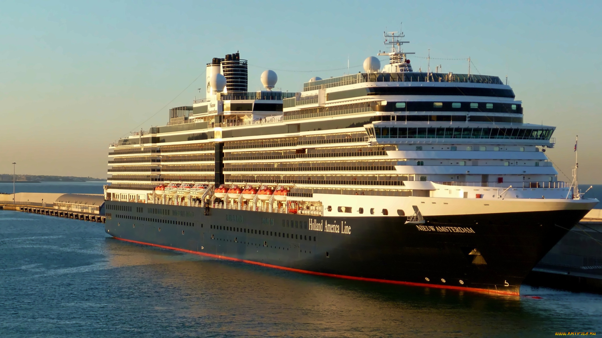 nieuw, amsterdam, корабли, лайнеры, круизный, лайнер
