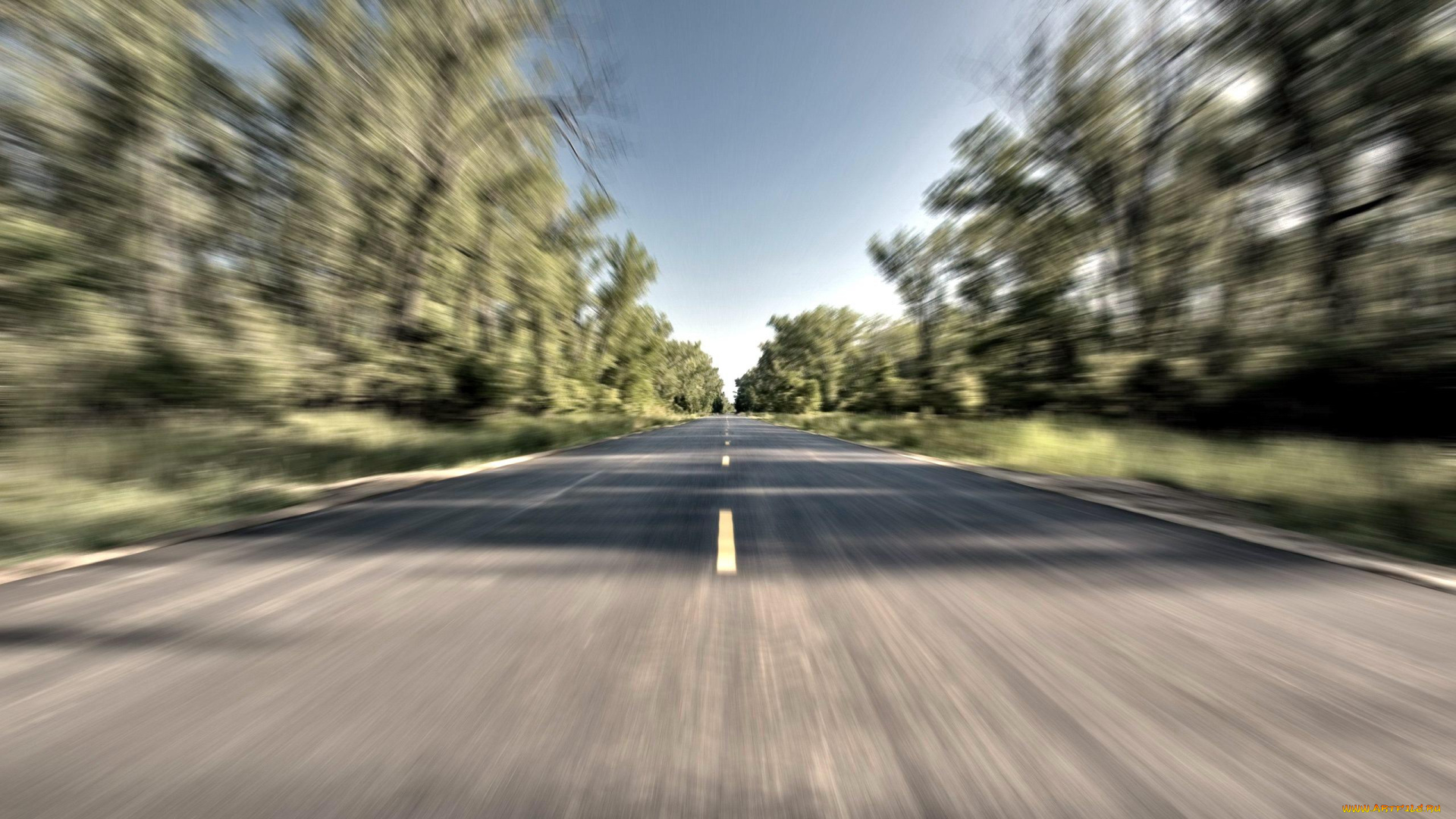 природа, дороги, деревья, зелень, скорость, шоссе, дорога