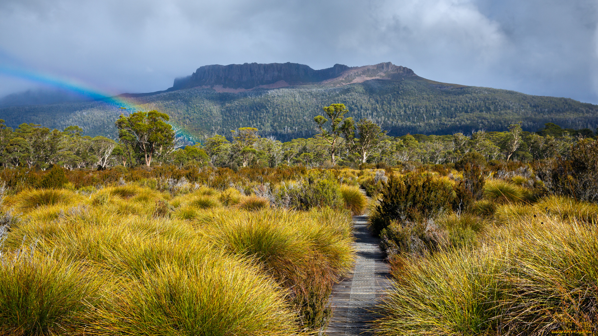 природа, дороги, дорога, прерия, радуга