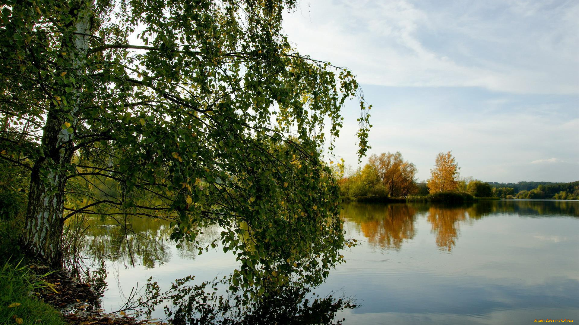 природа, реки, озера, береза, озеро, берег, осень, деоевья