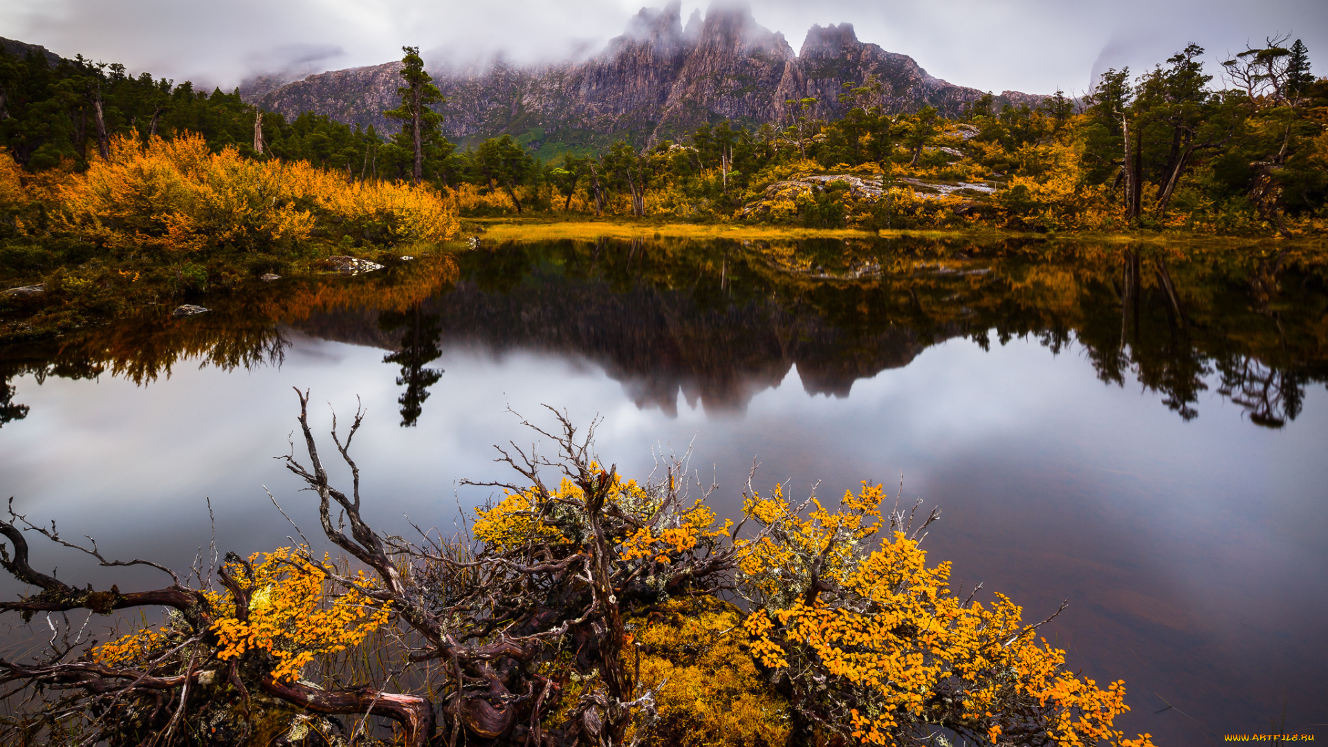 природа, реки, озера, река, лес, горы