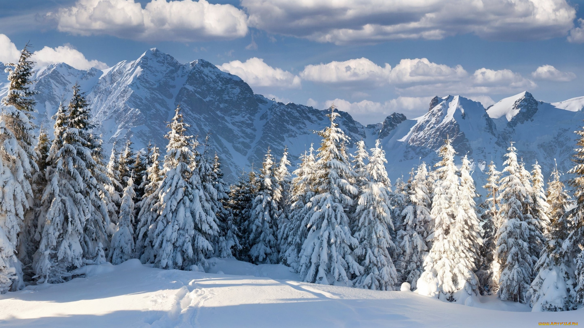 природа, зима, лес, горы, красиво, облака, небо