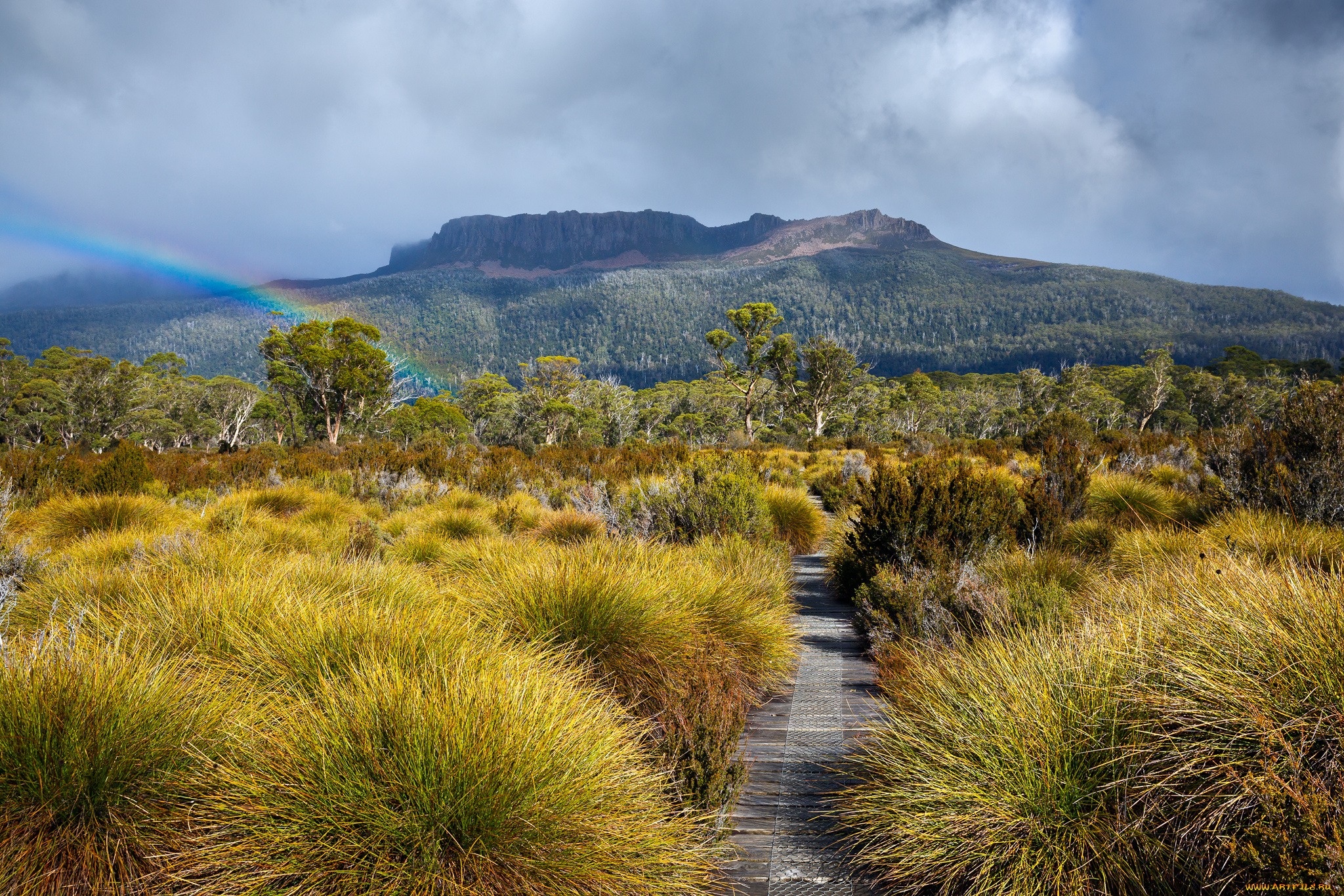 природа, дороги, дорога, прерия, радуга