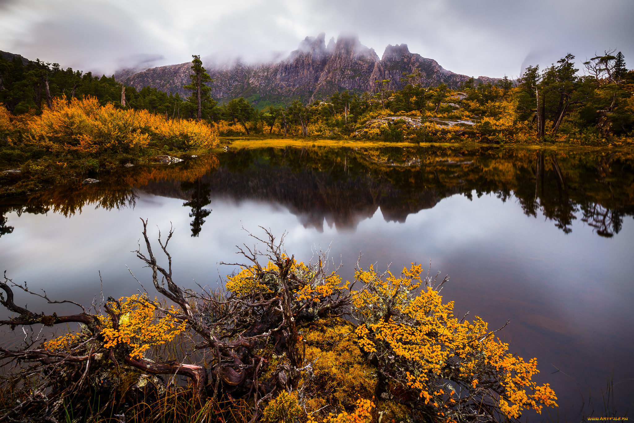 природа, реки, озера, река, лес, горы