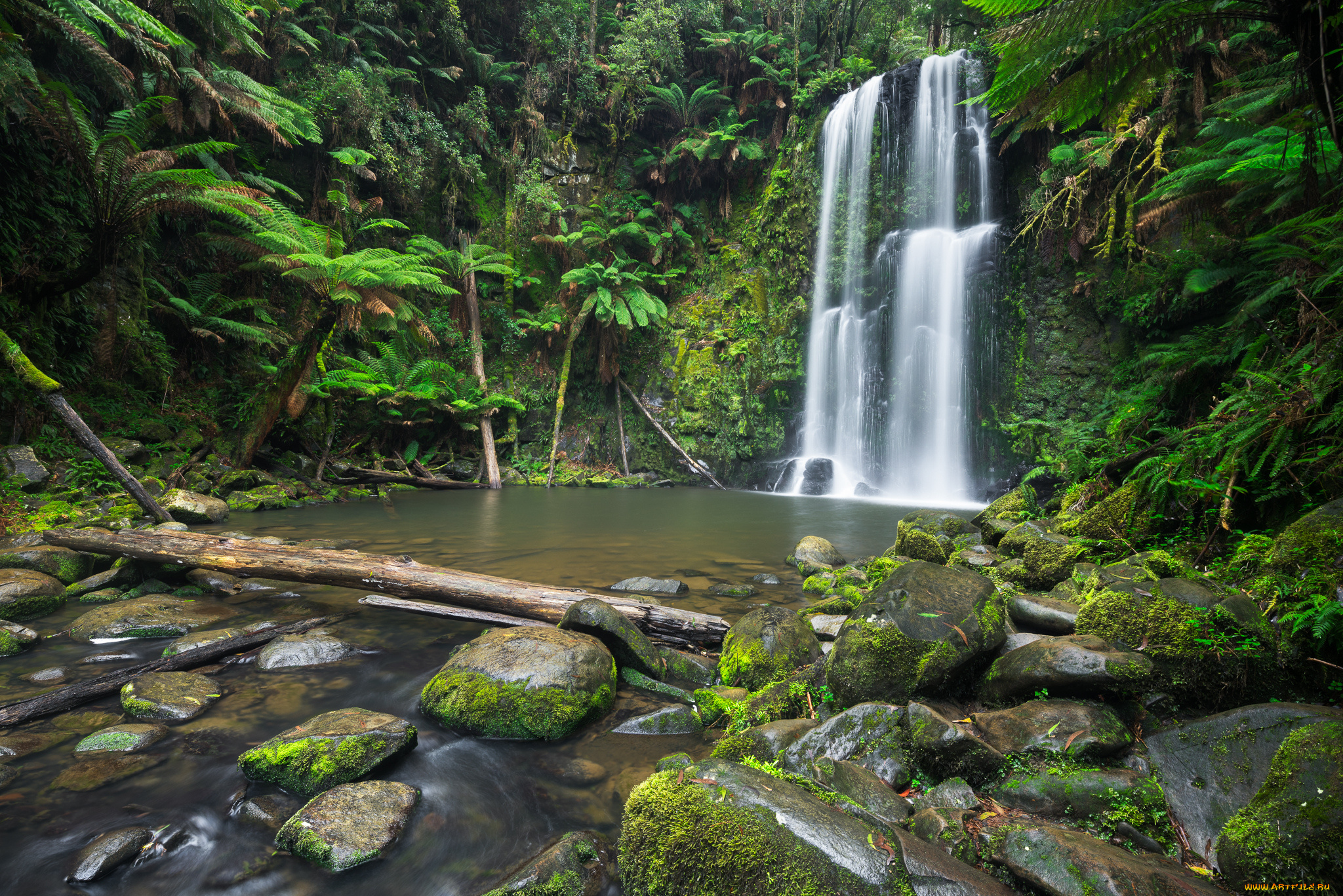 природа, водопады, водопад, река, лес