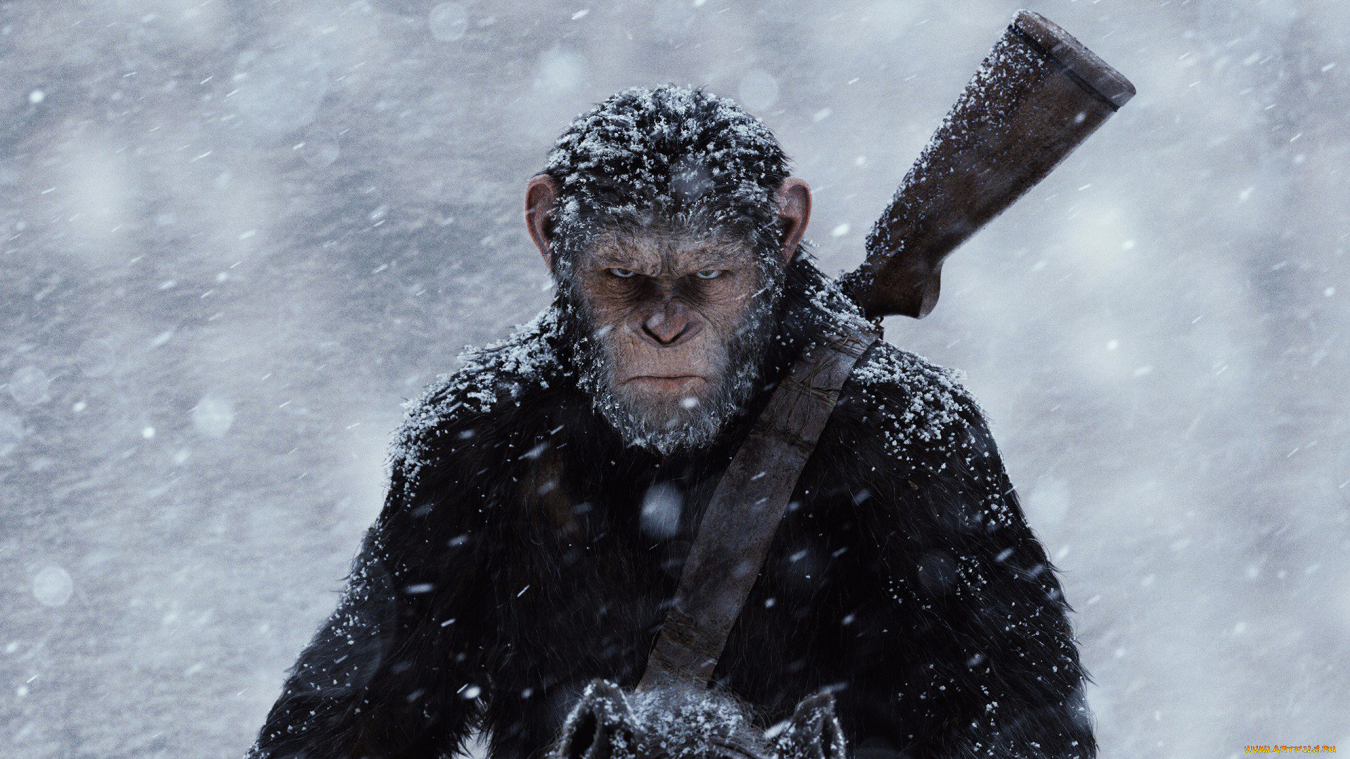 кино, фильмы, war, for, the, planet, of, the, apes, war, for, the, planet, of, apes