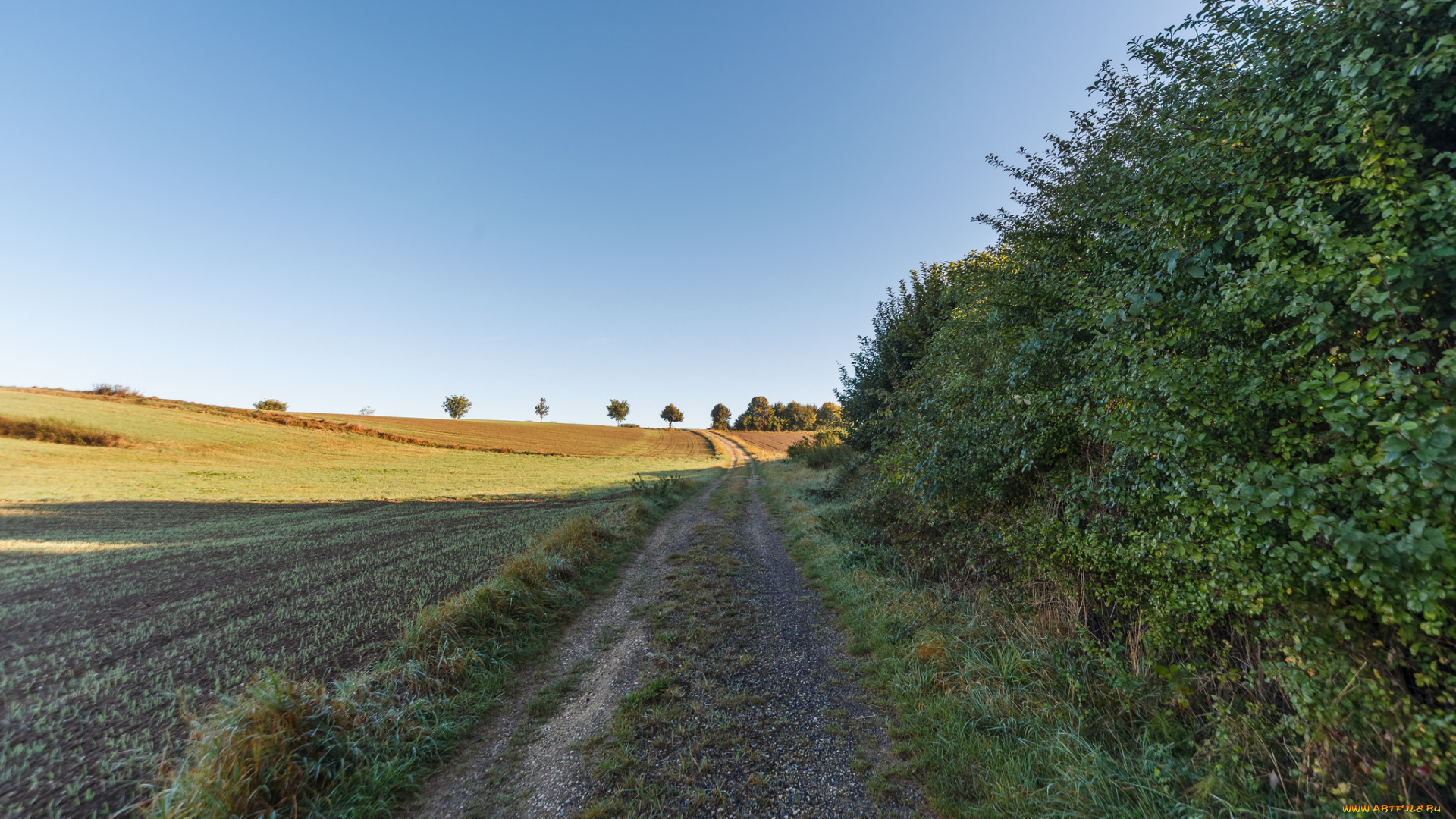 природа, дороги, тракт