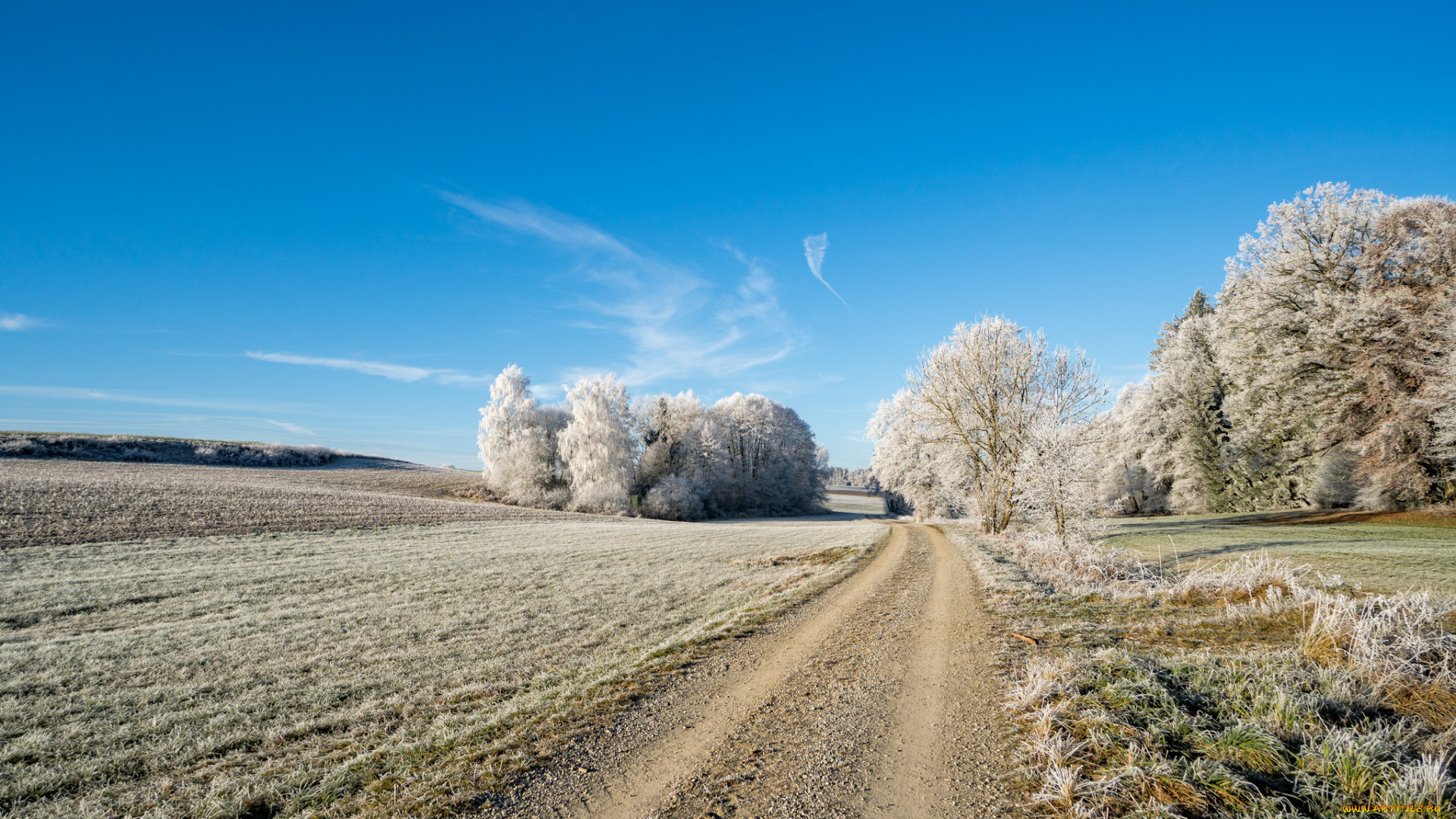 природа, дороги, тракт