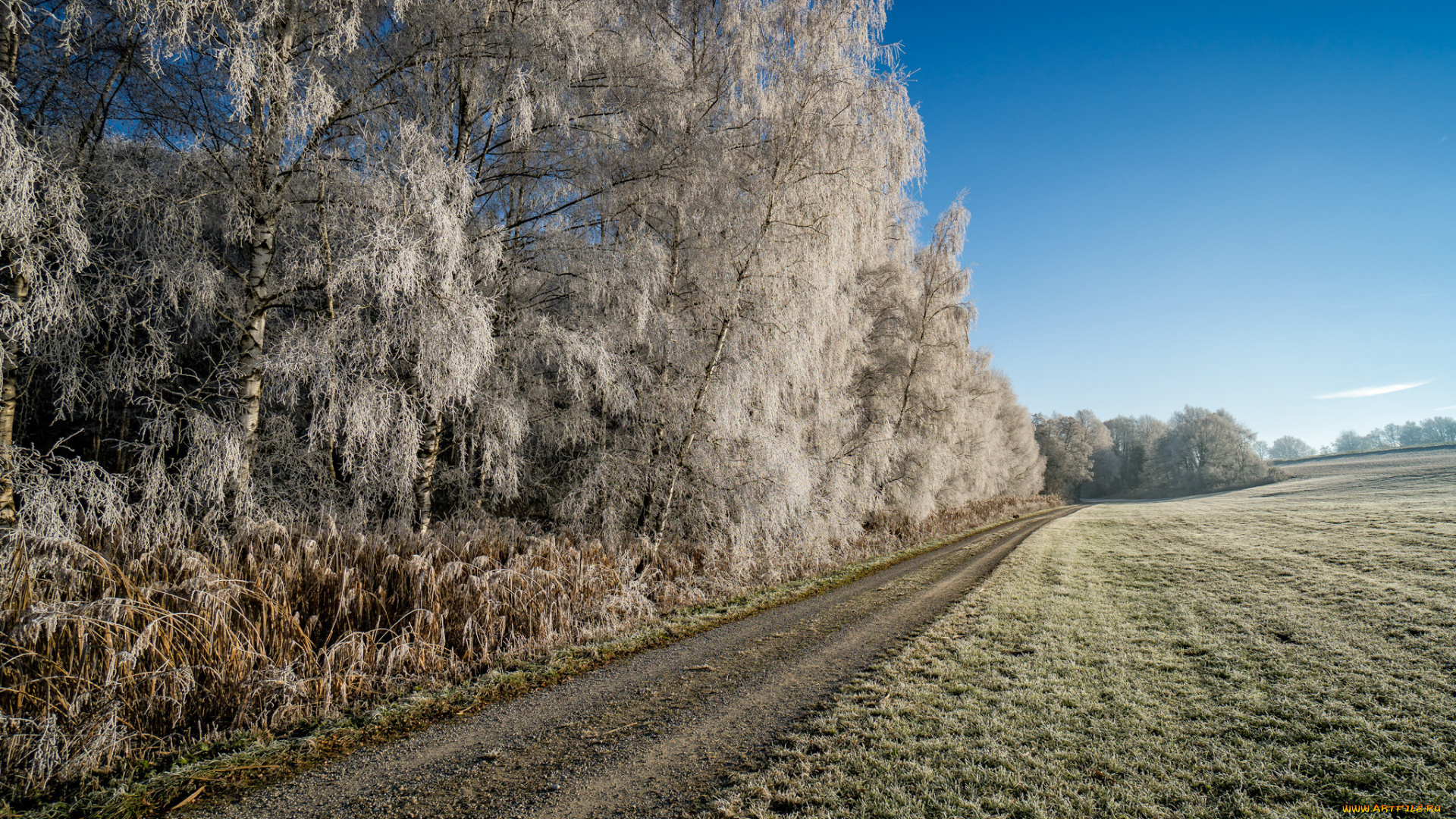 природа, дороги, тракт