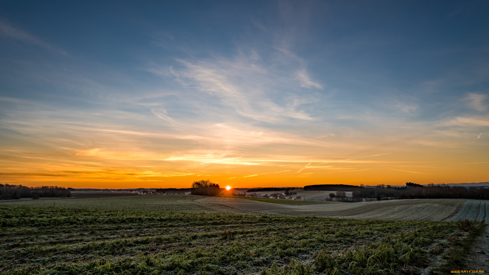 природа, поля, рассвет