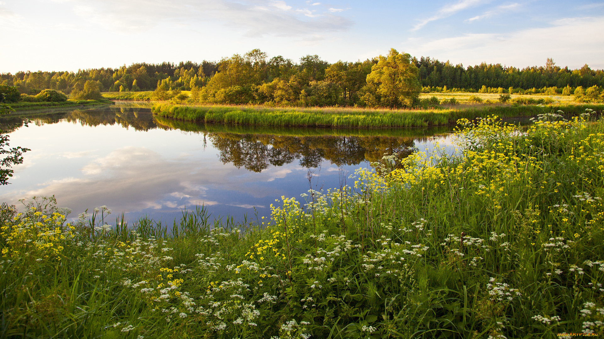 природа, реки, озера, деревья, река