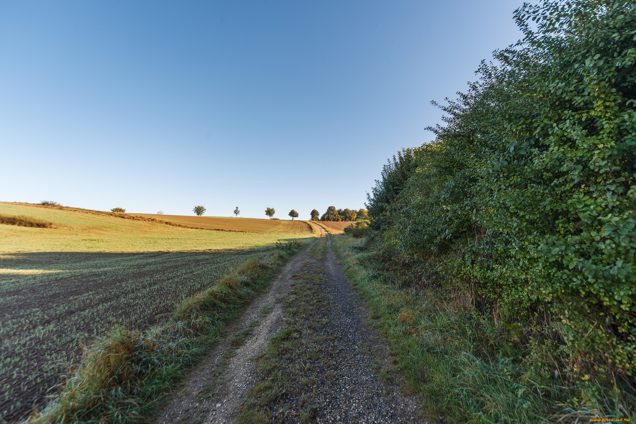 природа, дороги, тракт