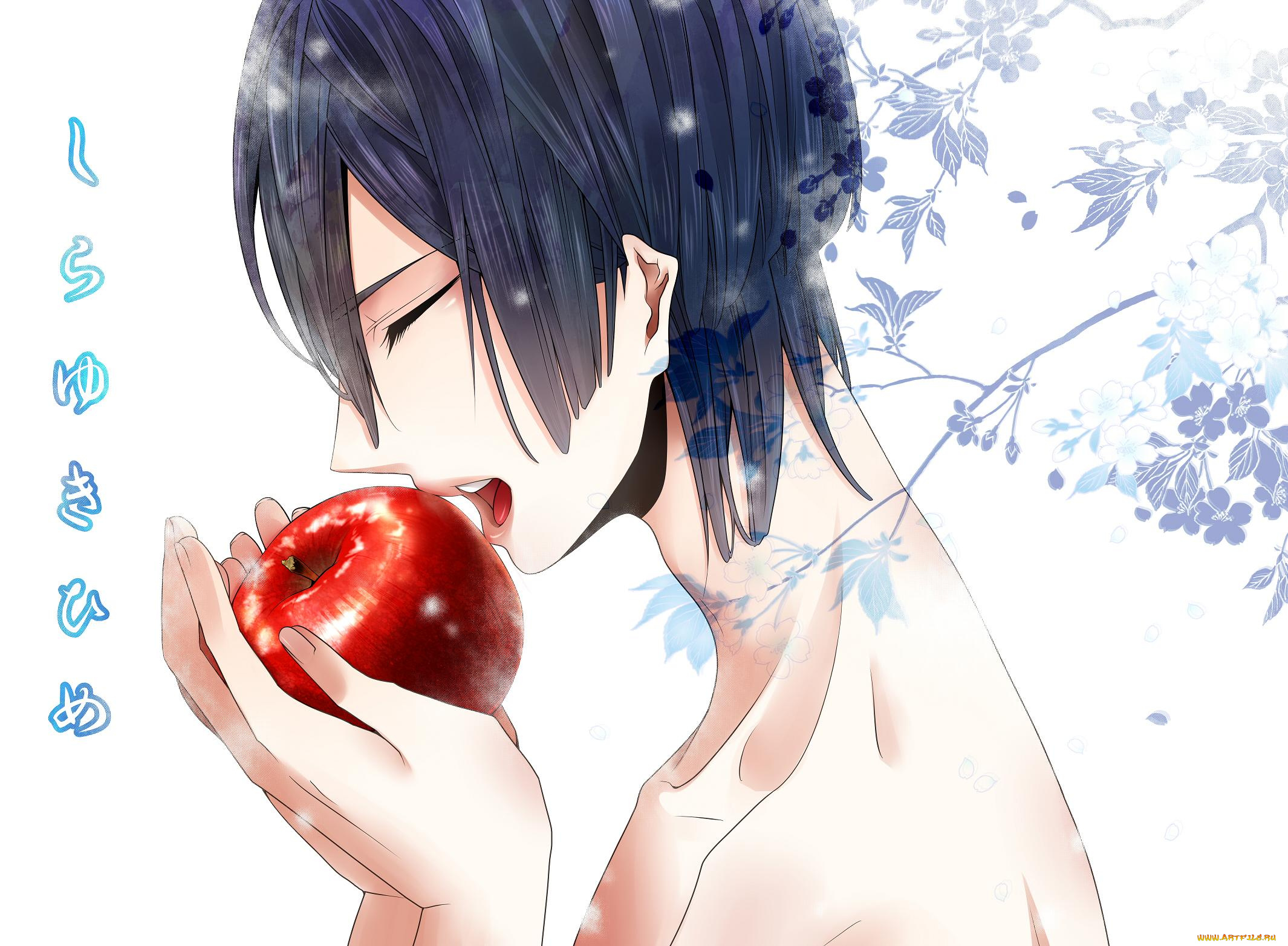 аниме, uta, no, prince-sama, hijirikawa, masato