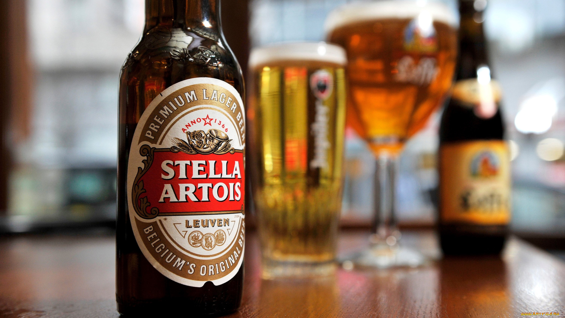 бренды, stella, artois, пиво