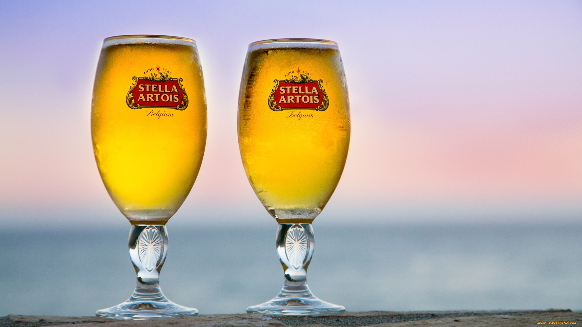 бренды, stella, artois, пиво