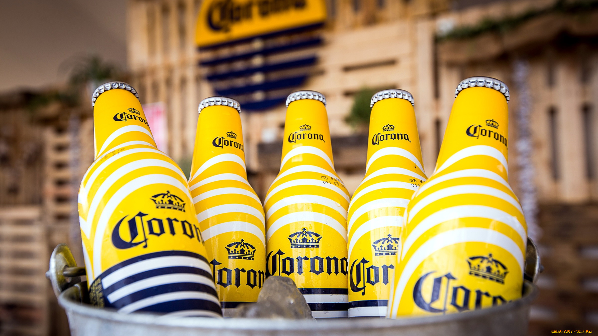 corona, бренды, бренды, напитков, , разное