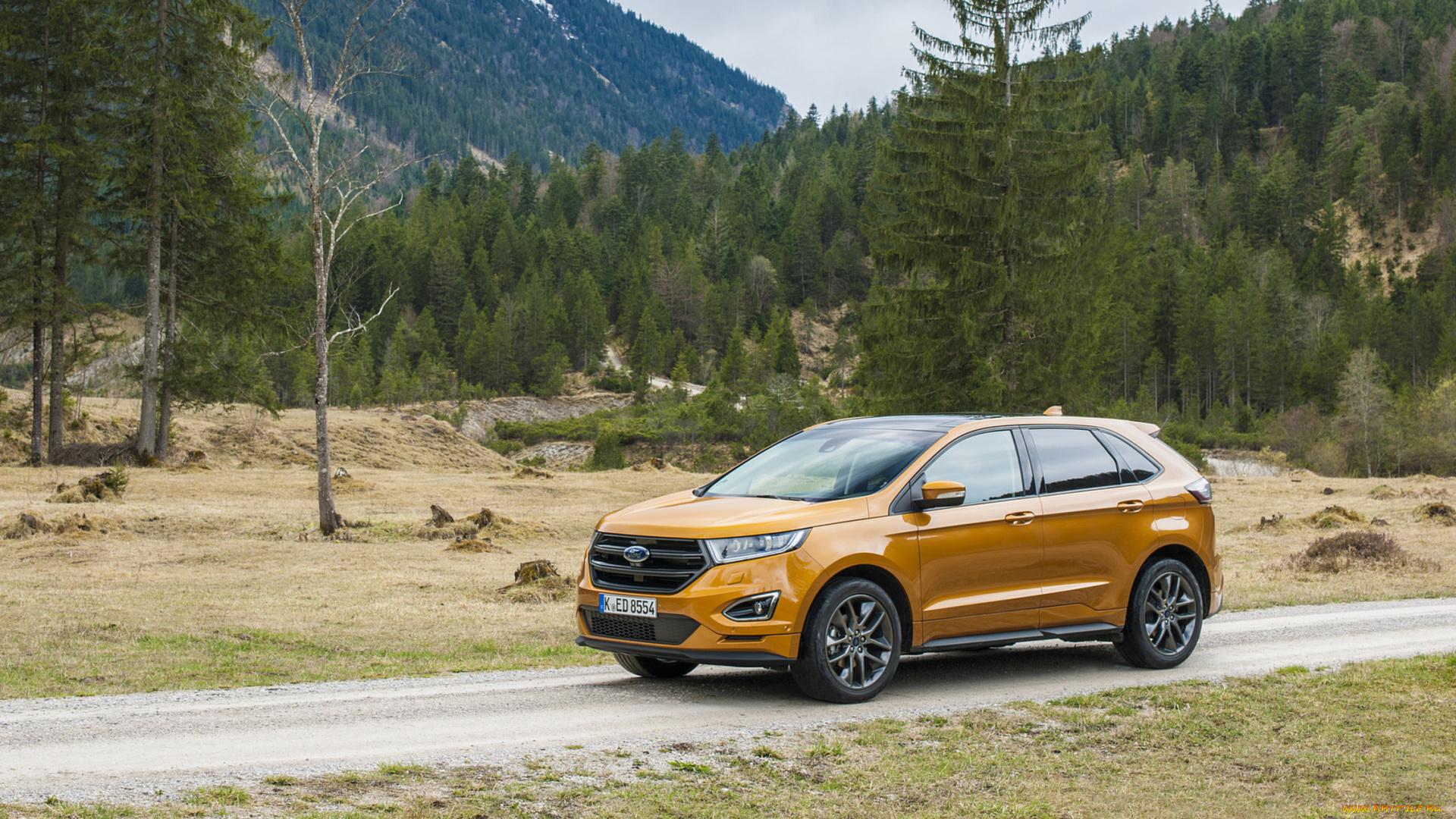 ford, edge, 2017, автомобили, ford, edge, 2017