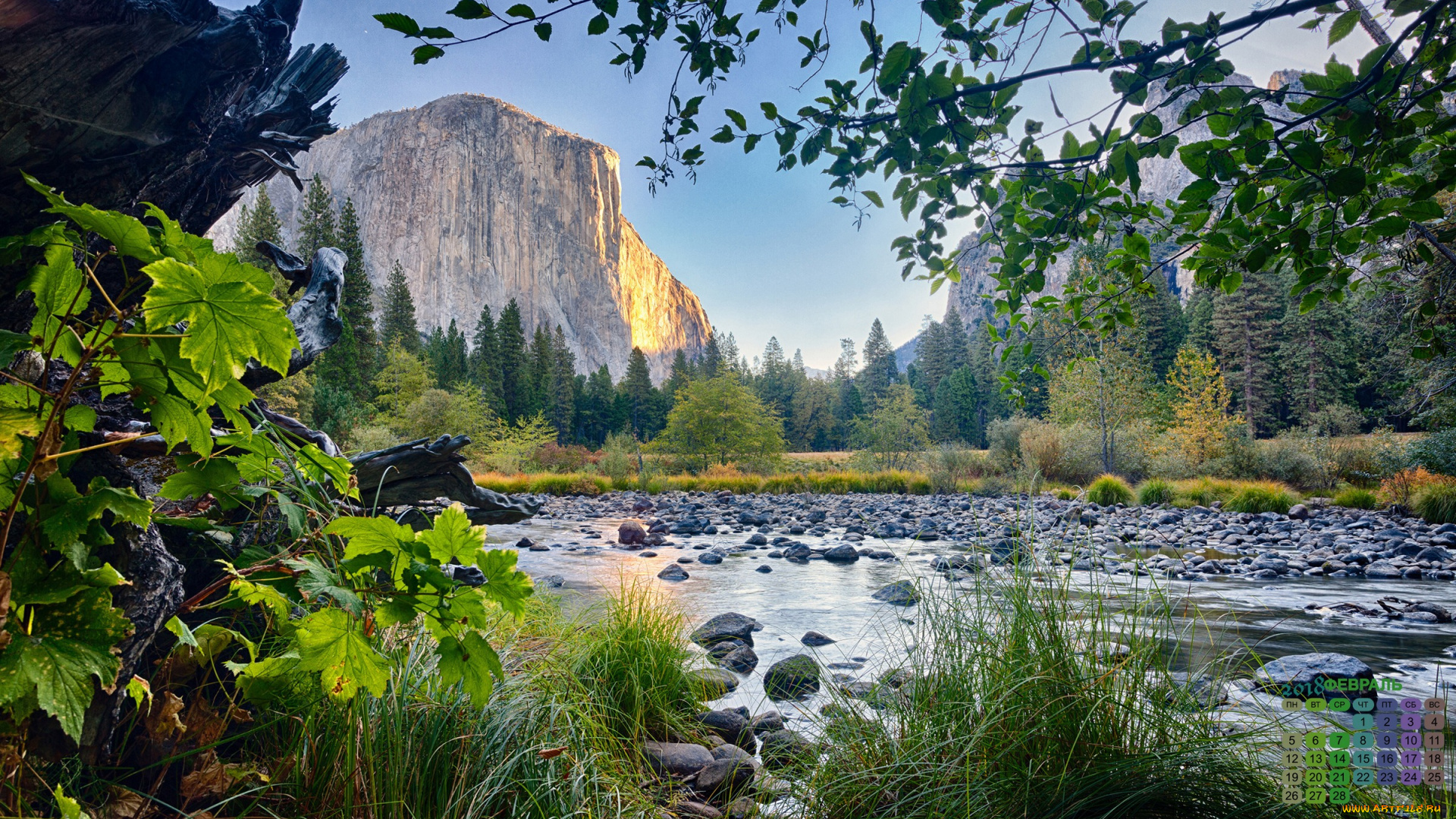 календари, природа, деревья, водоем, скала, 2018, растения