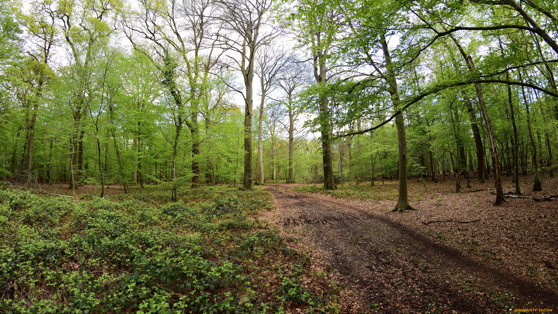 природа, дороги, простор