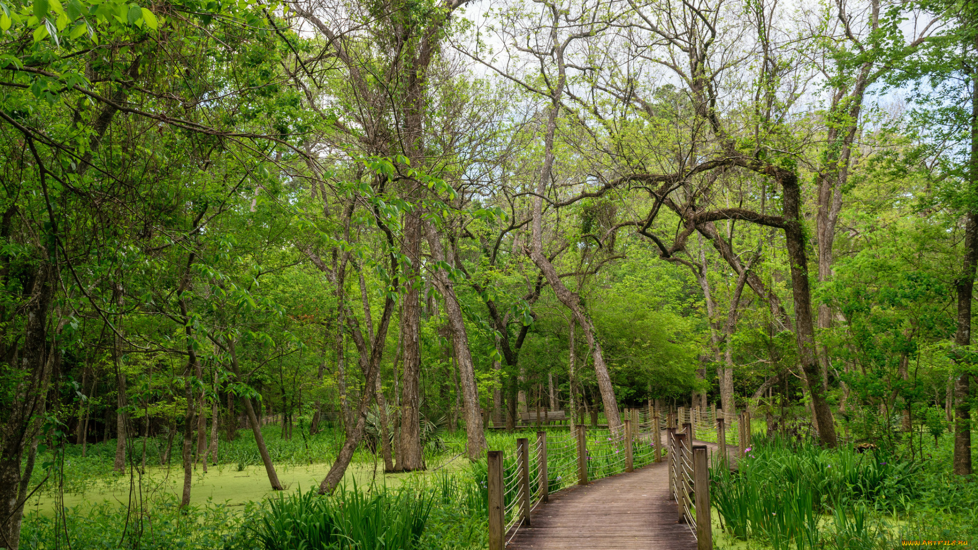 природа, дороги, простор