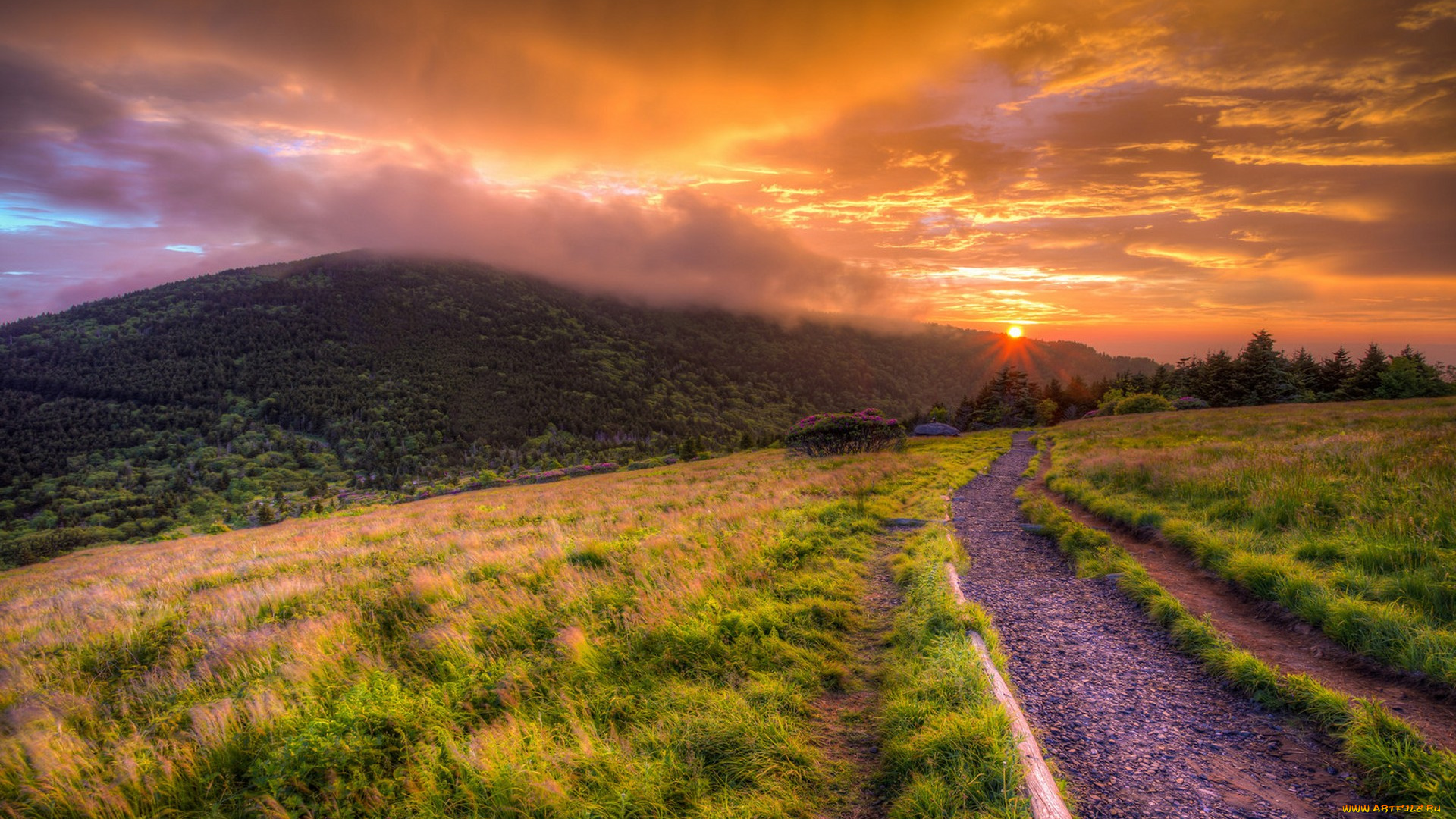 природа, дороги, простор