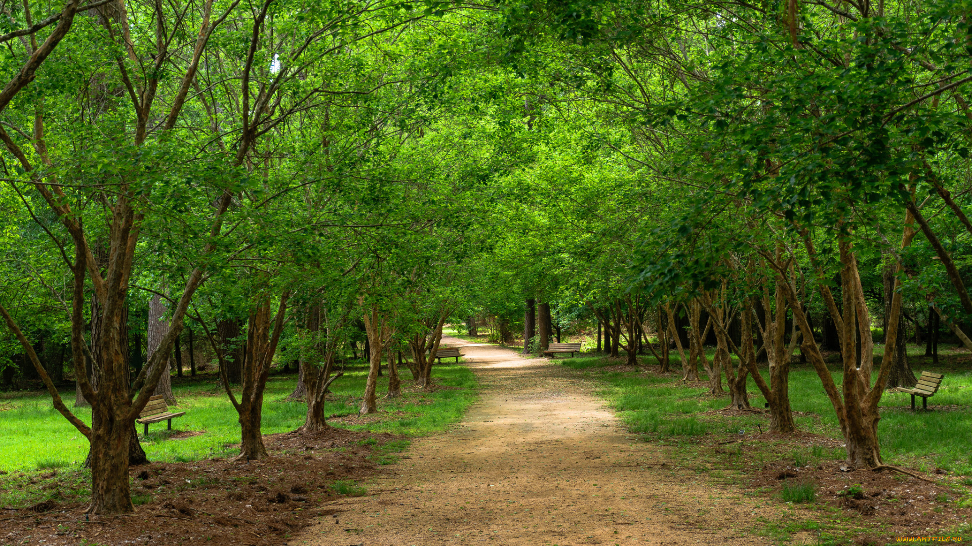 природа, дороги, простор