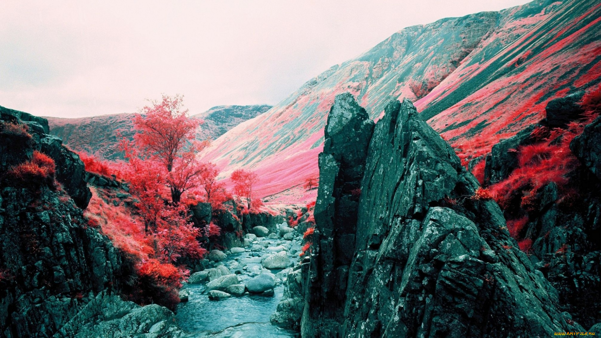 природа, горы, осень, вода