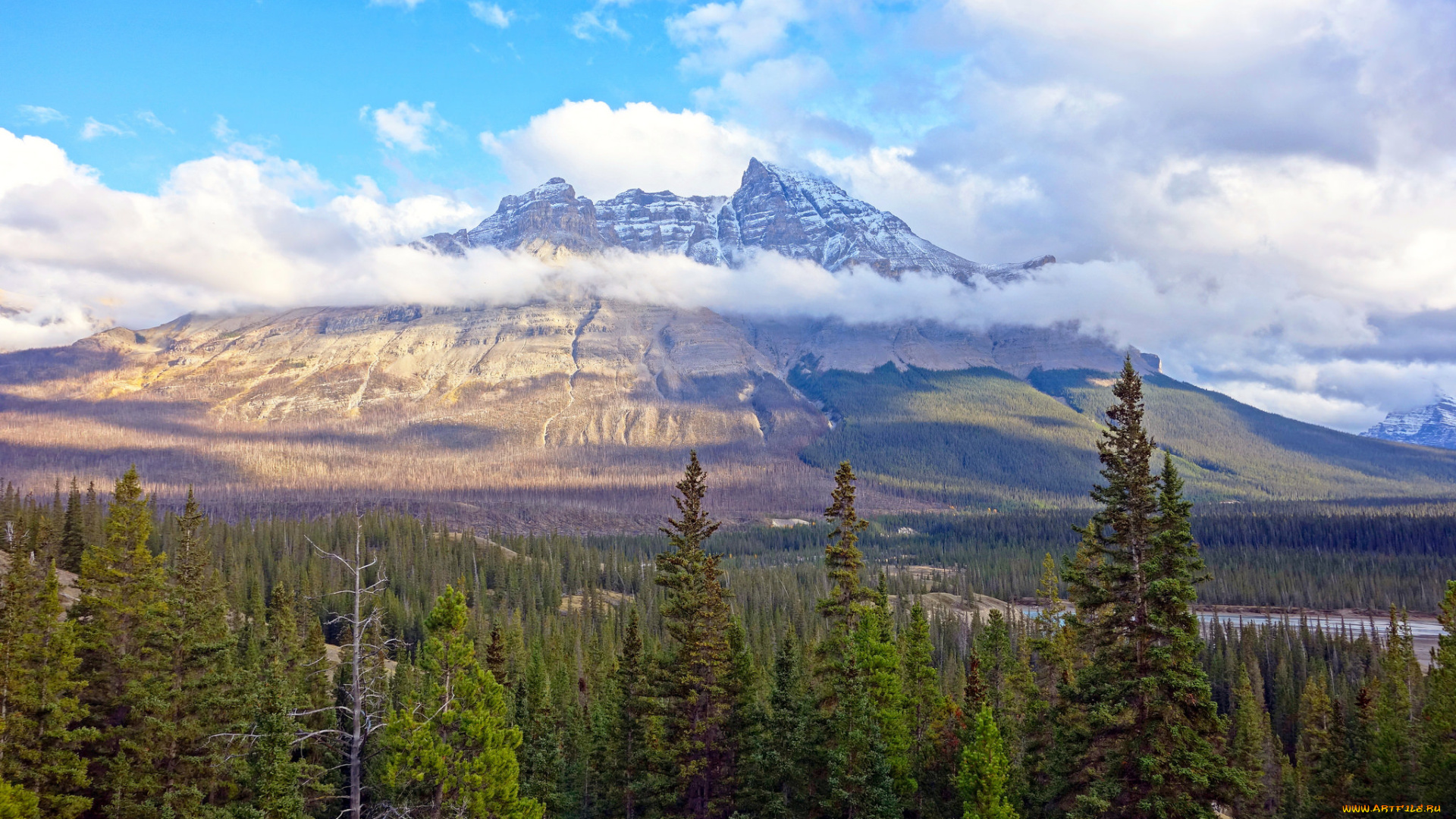 природа, горы, простор