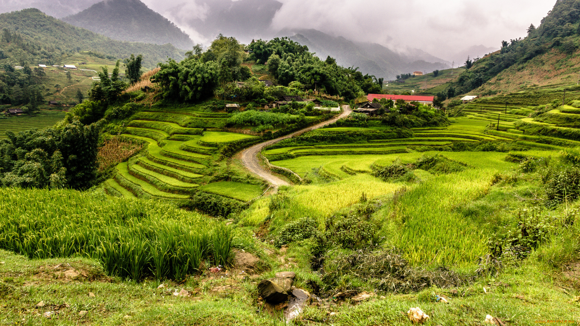 природа, пейзажи, простор