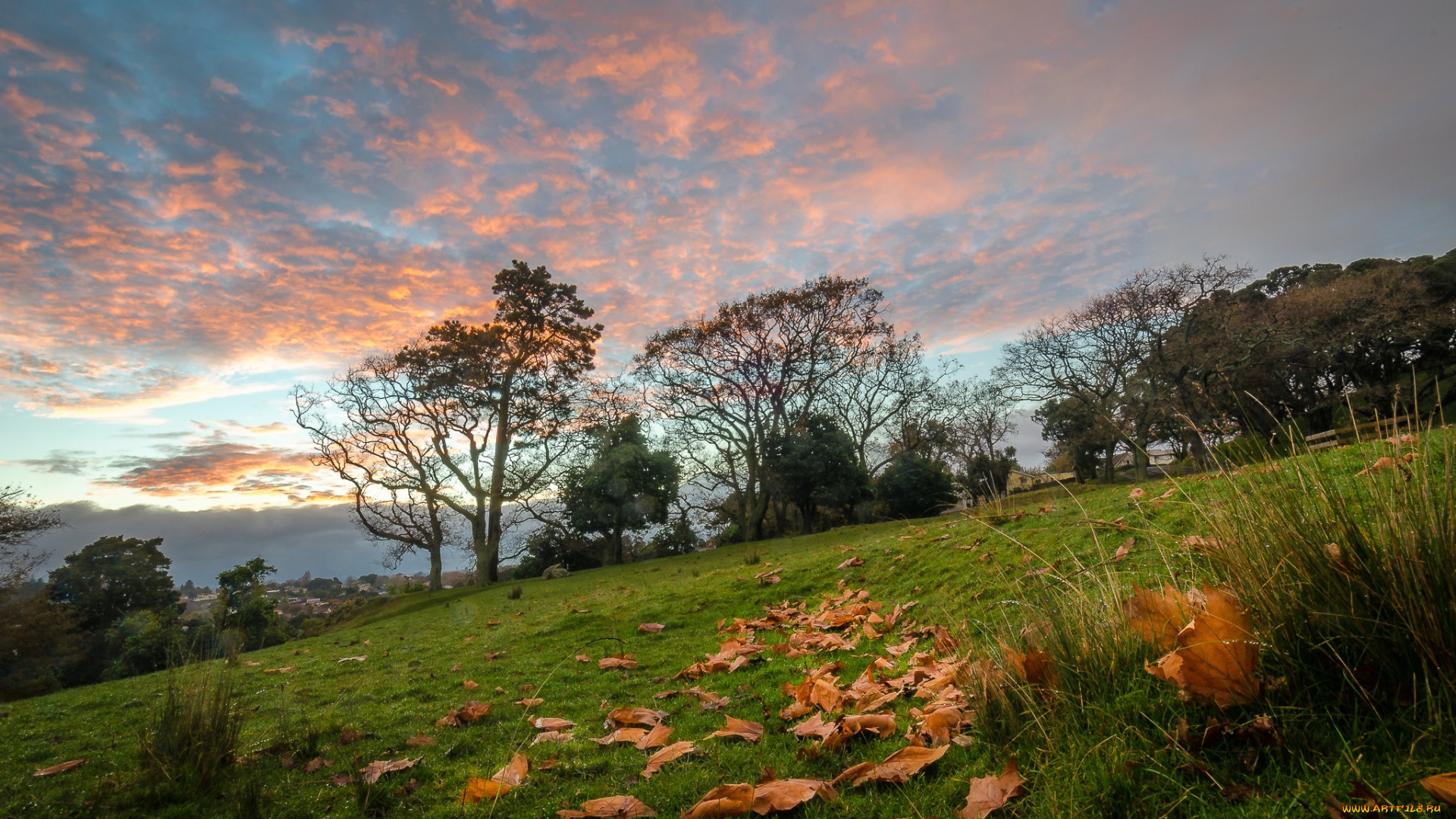 природа, пейзажи, простор