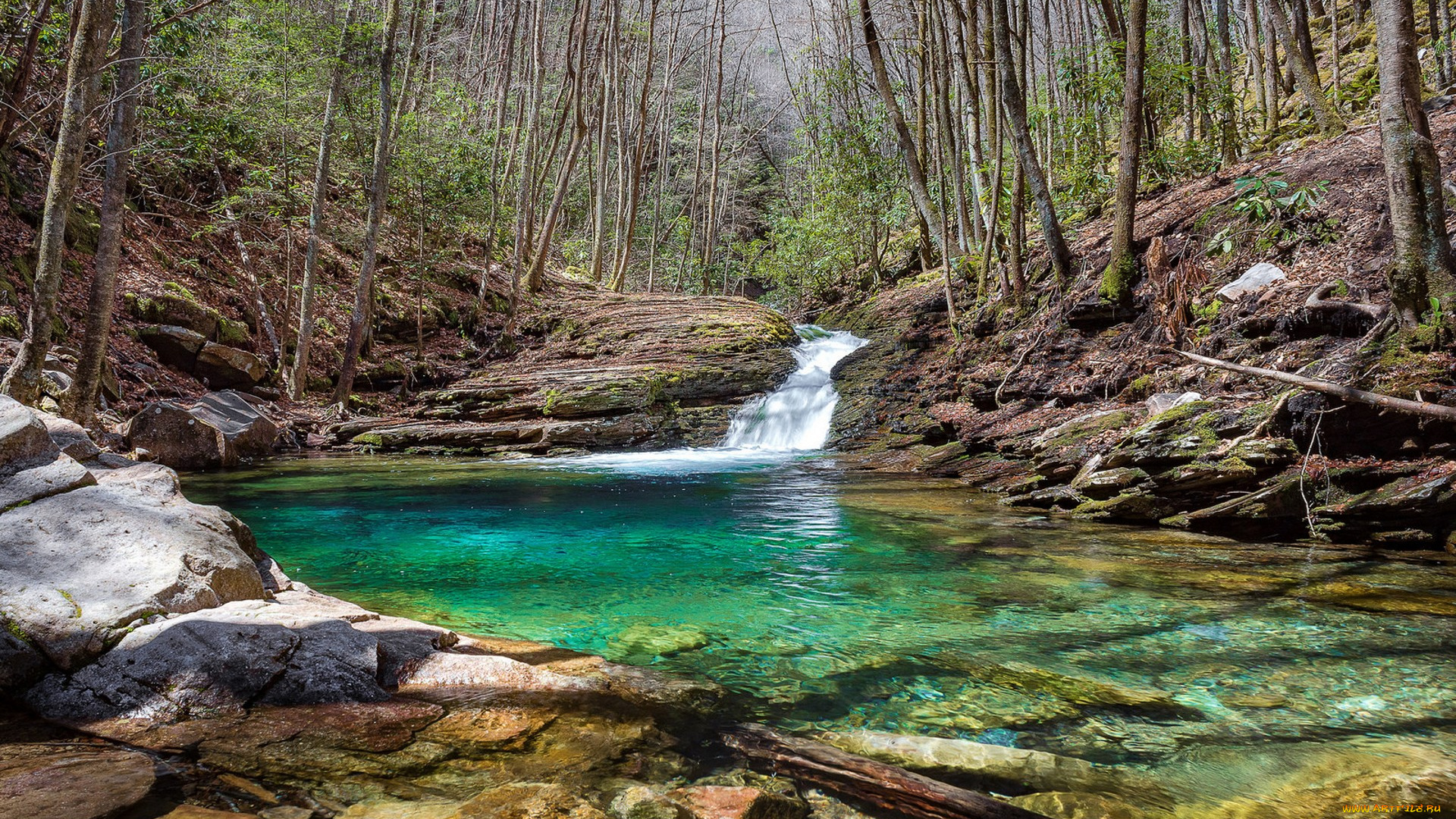 природа, реки, озера, простор