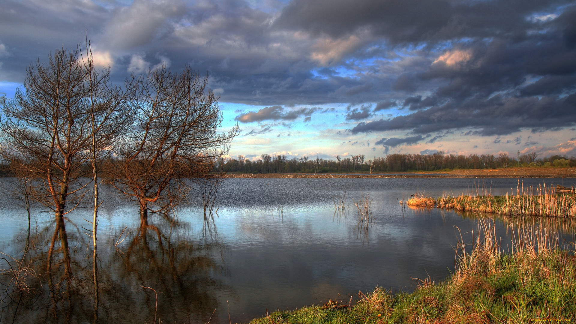 природа, реки, озера, простор