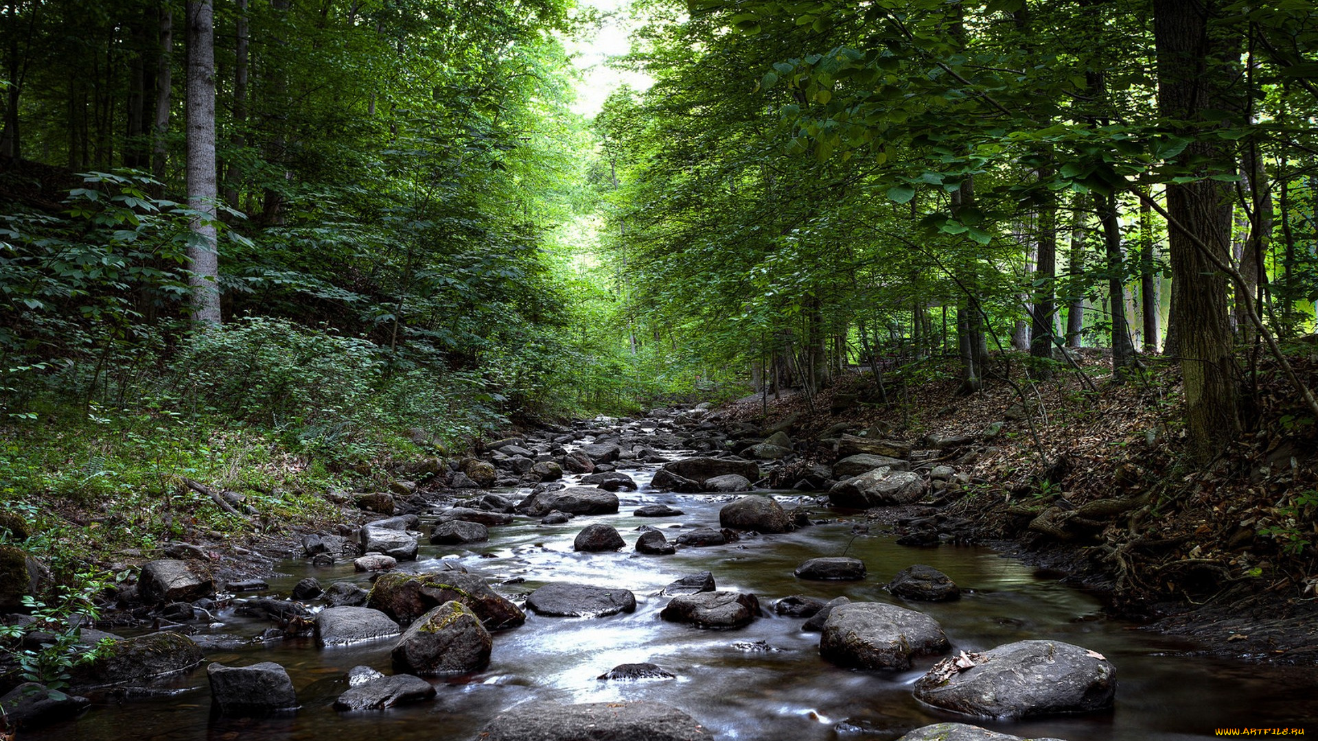 природа, реки, озера, простор