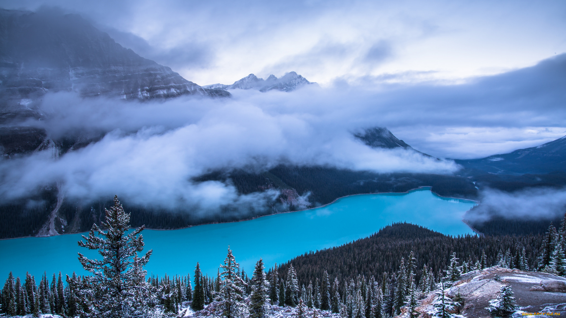 природа, реки, озера, простор