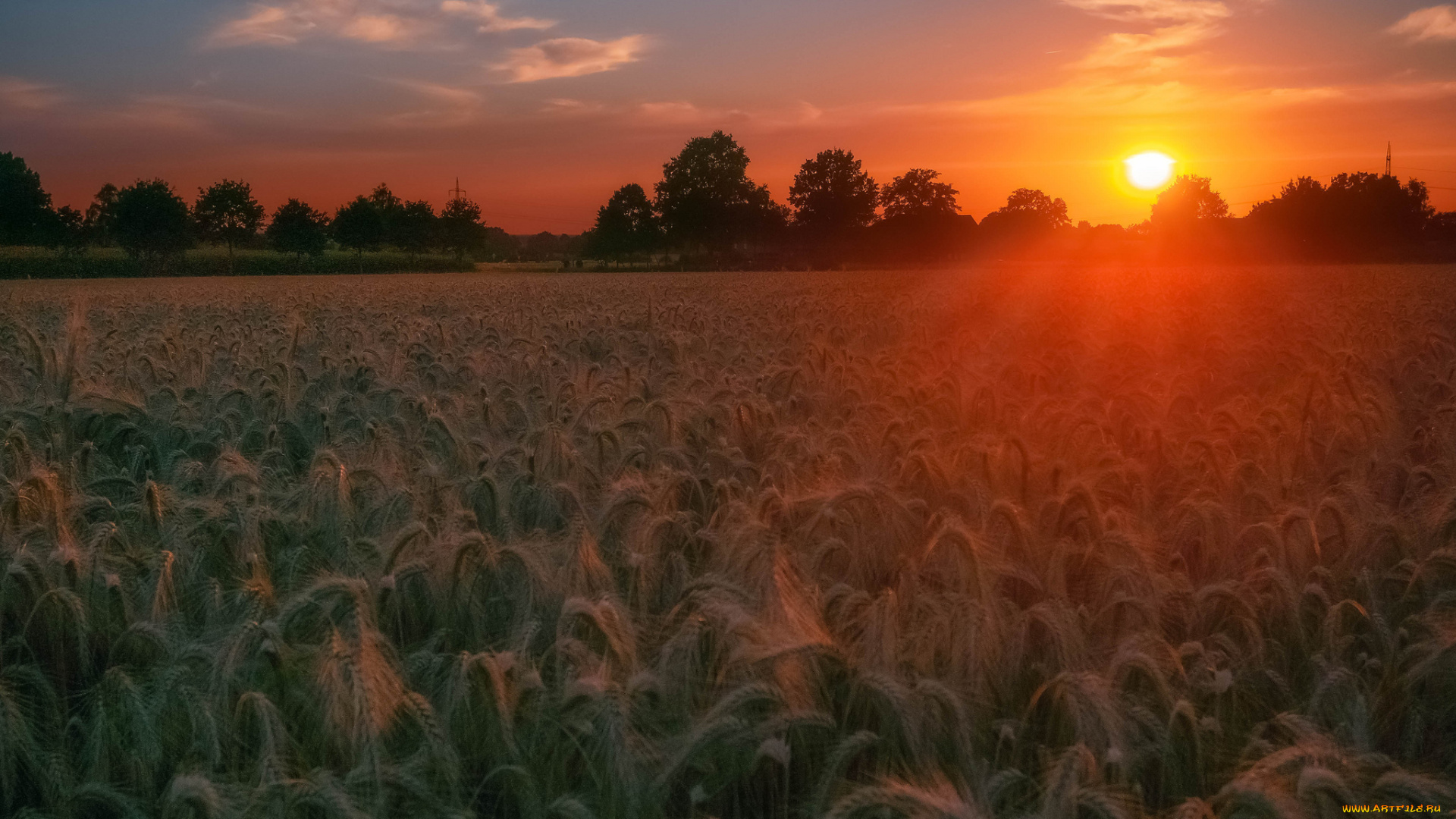 природа, восходы, закаты, простор