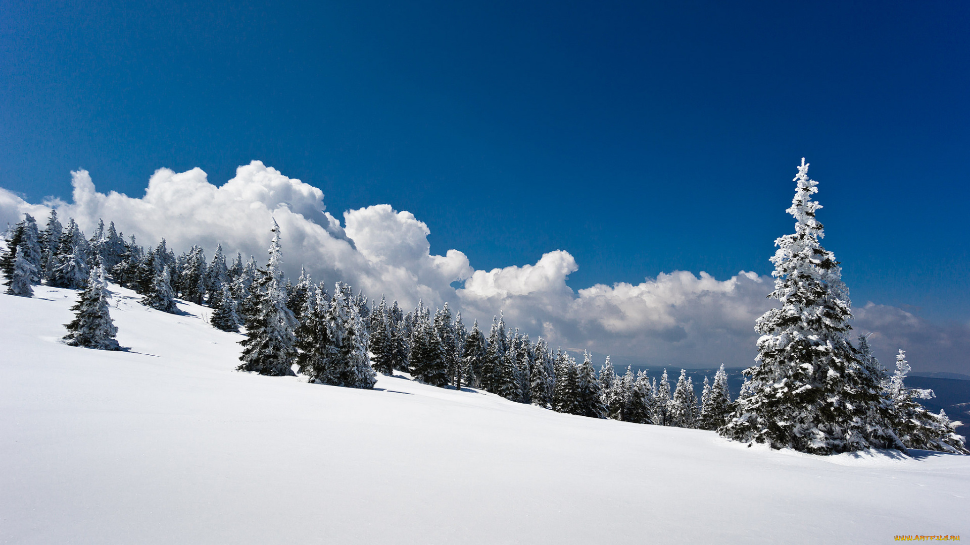 природа, зима, простор