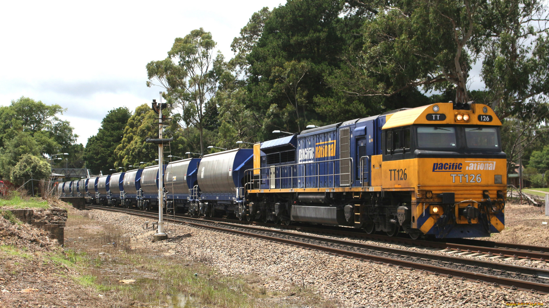 техника, поезда, локомотив, состав