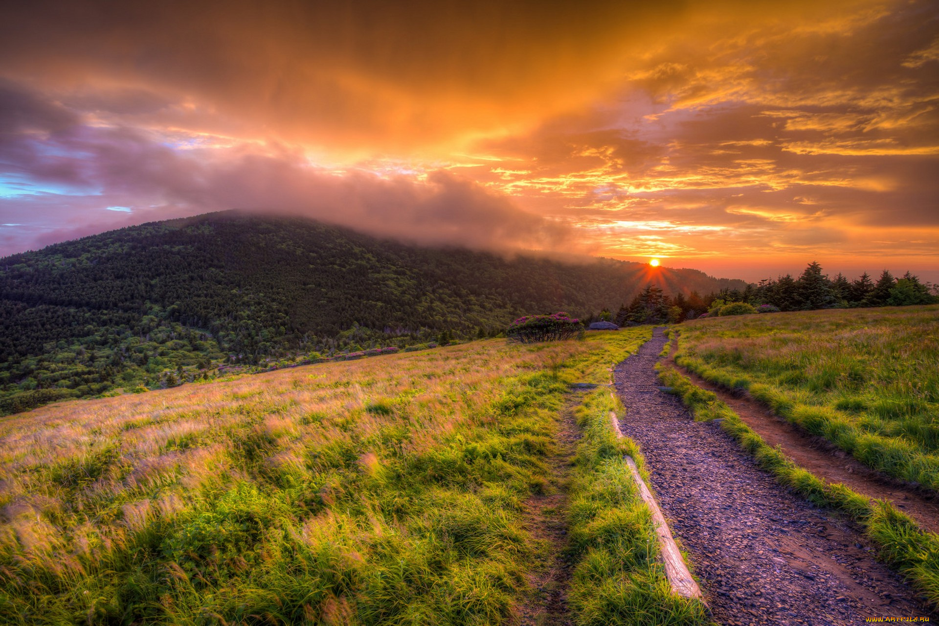 природа, дороги, простор