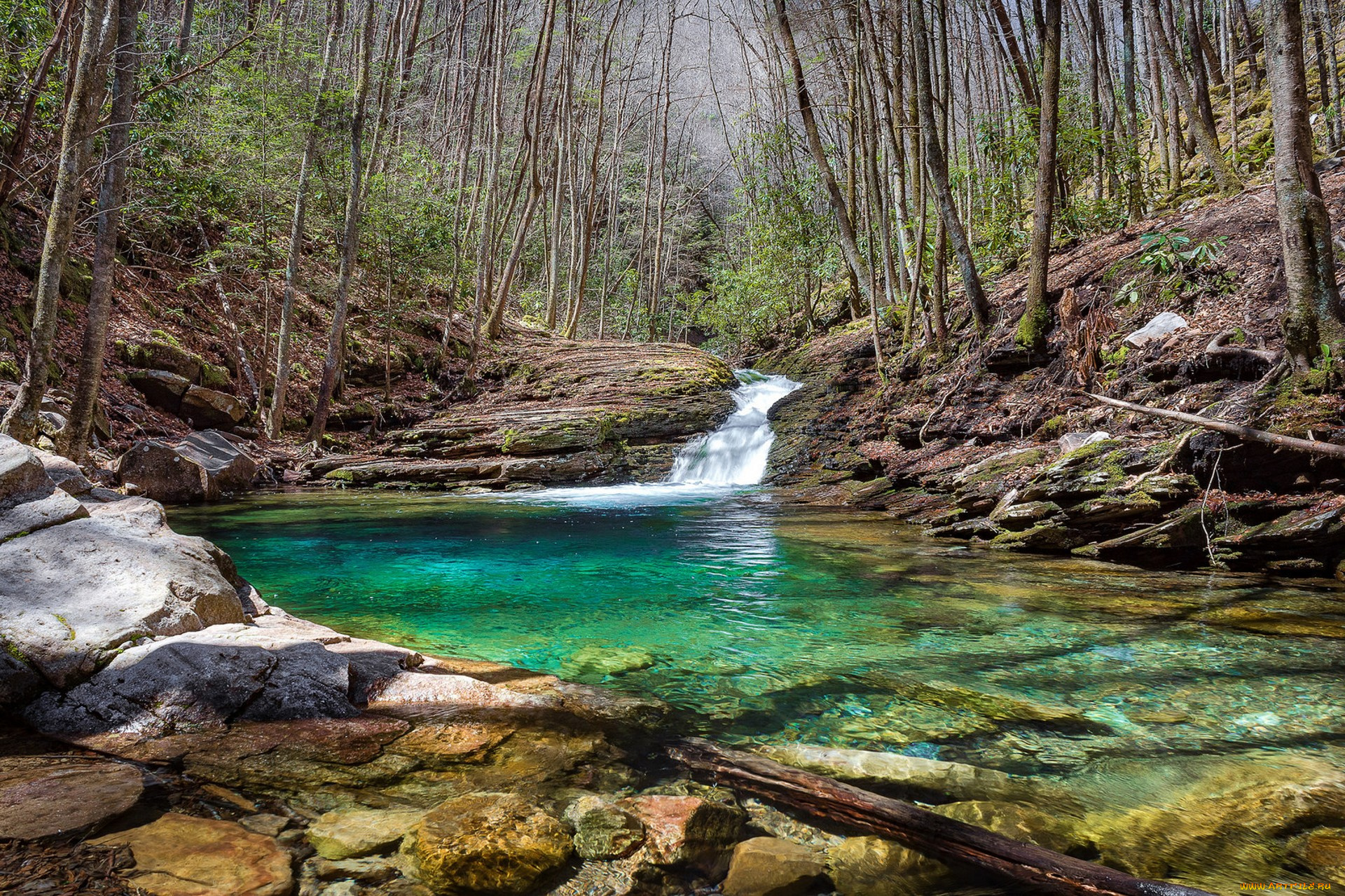 природа, реки, озера, простор