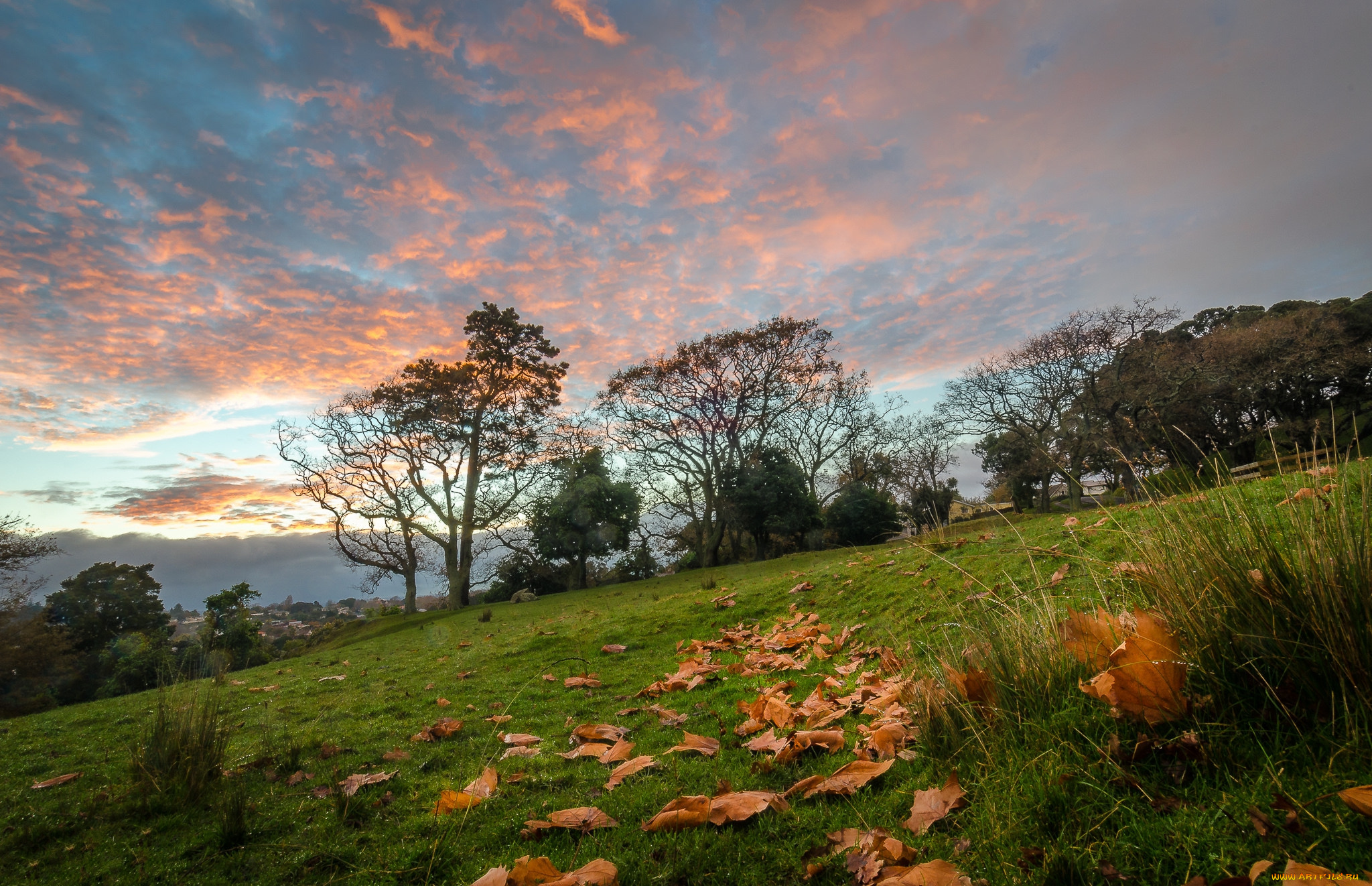 природа, пейзажи, простор