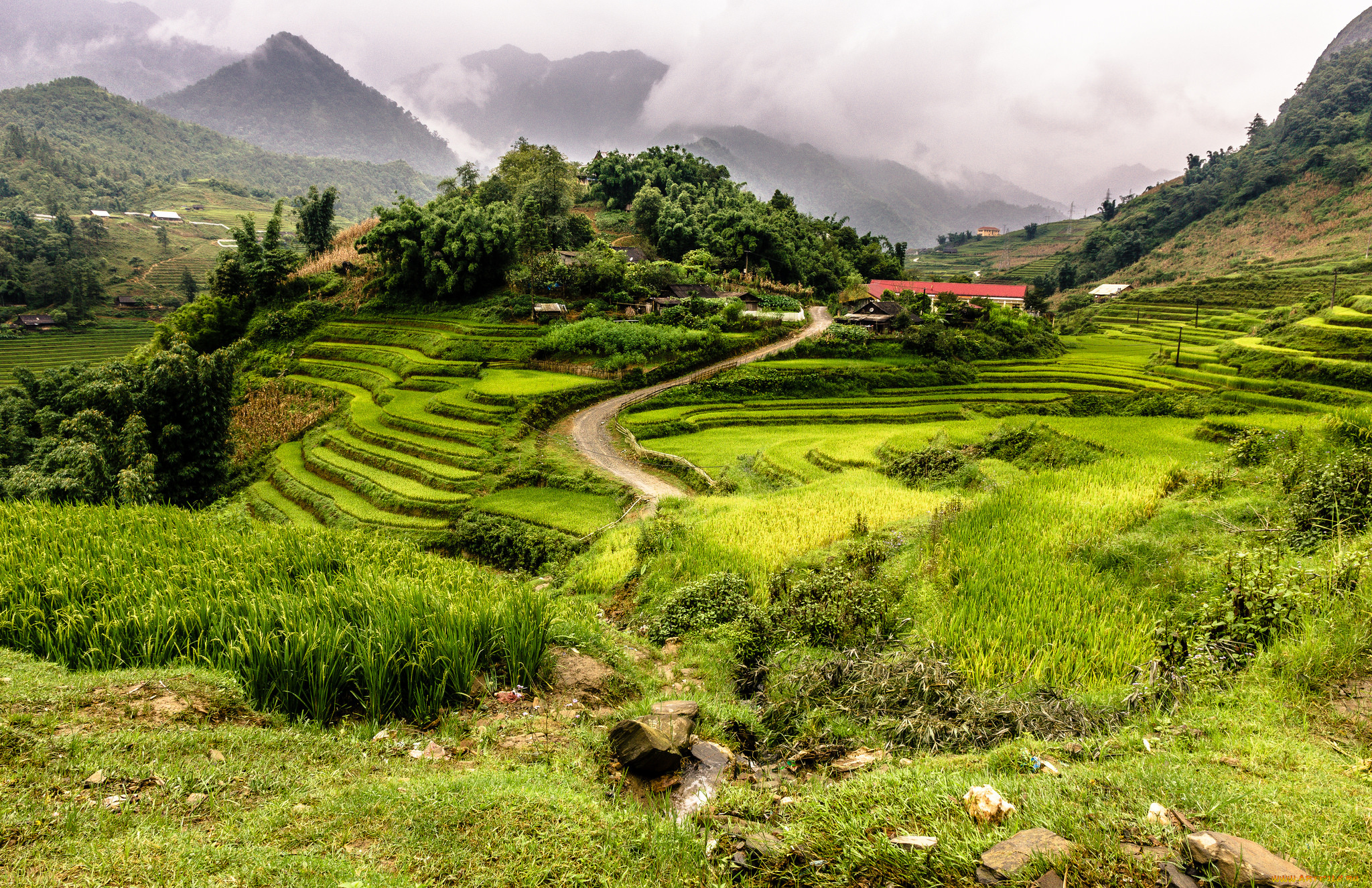 природа, пейзажи, простор