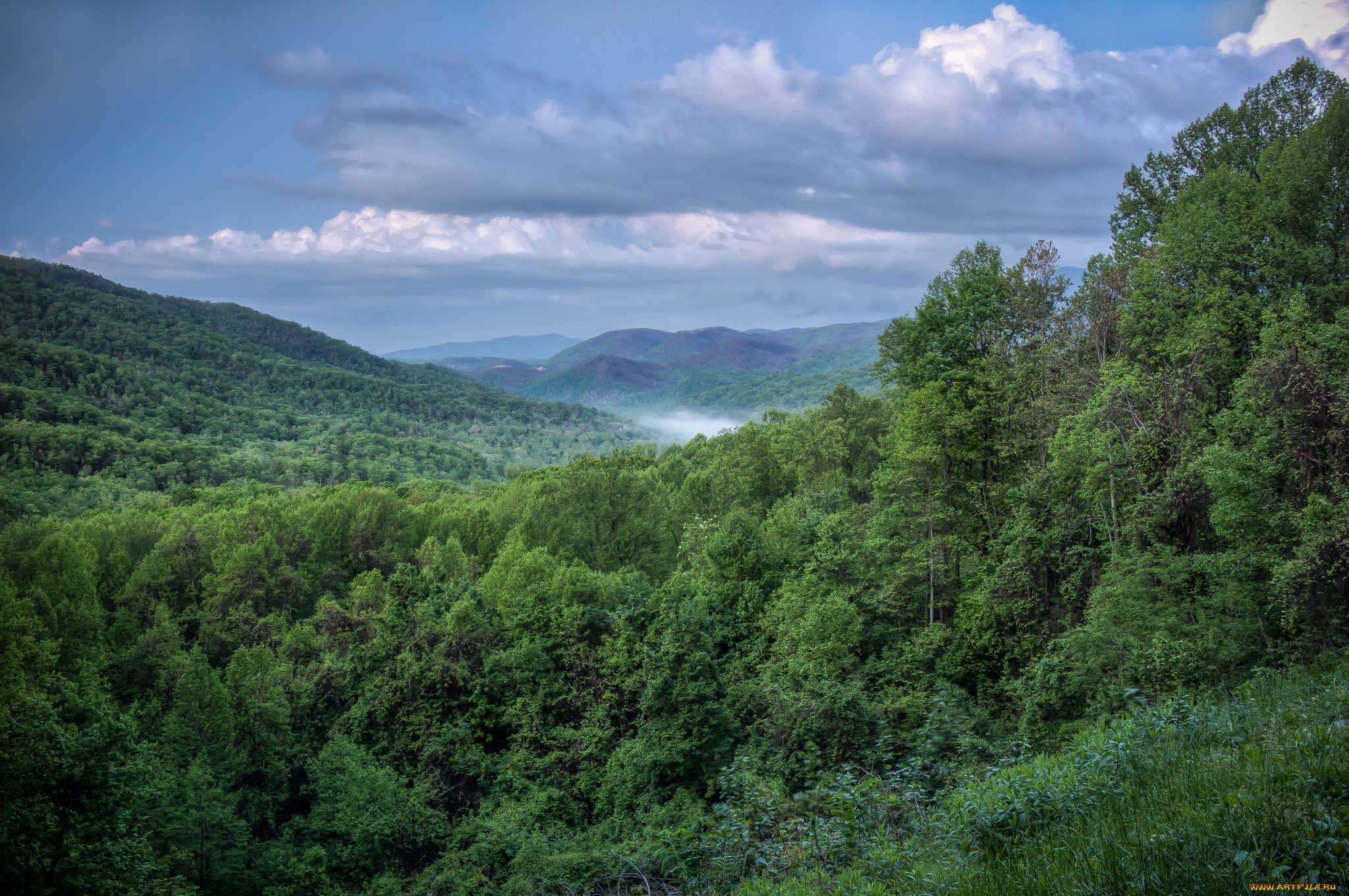 природа, пейзажи, простор